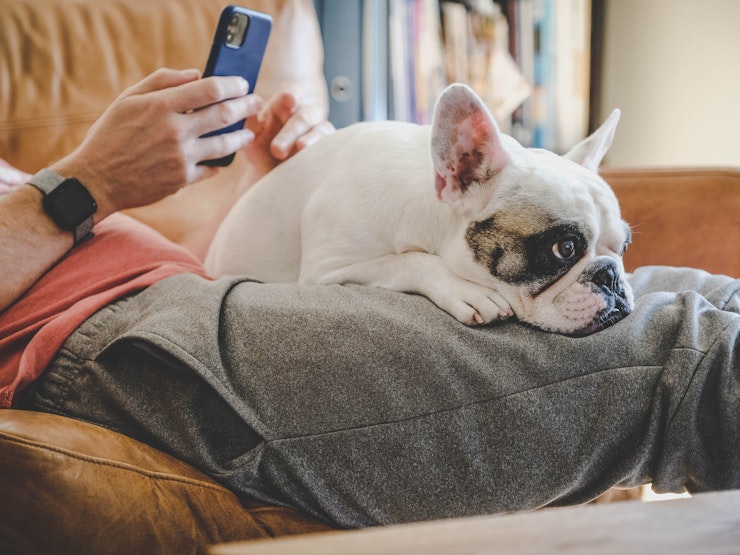 A man holds his smartphone whilst sitting on the sofa with his dog on his knee