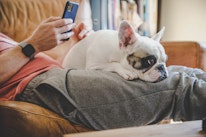 A man holds his smartphone whilst sitting on the sofa with his dog on his knee
