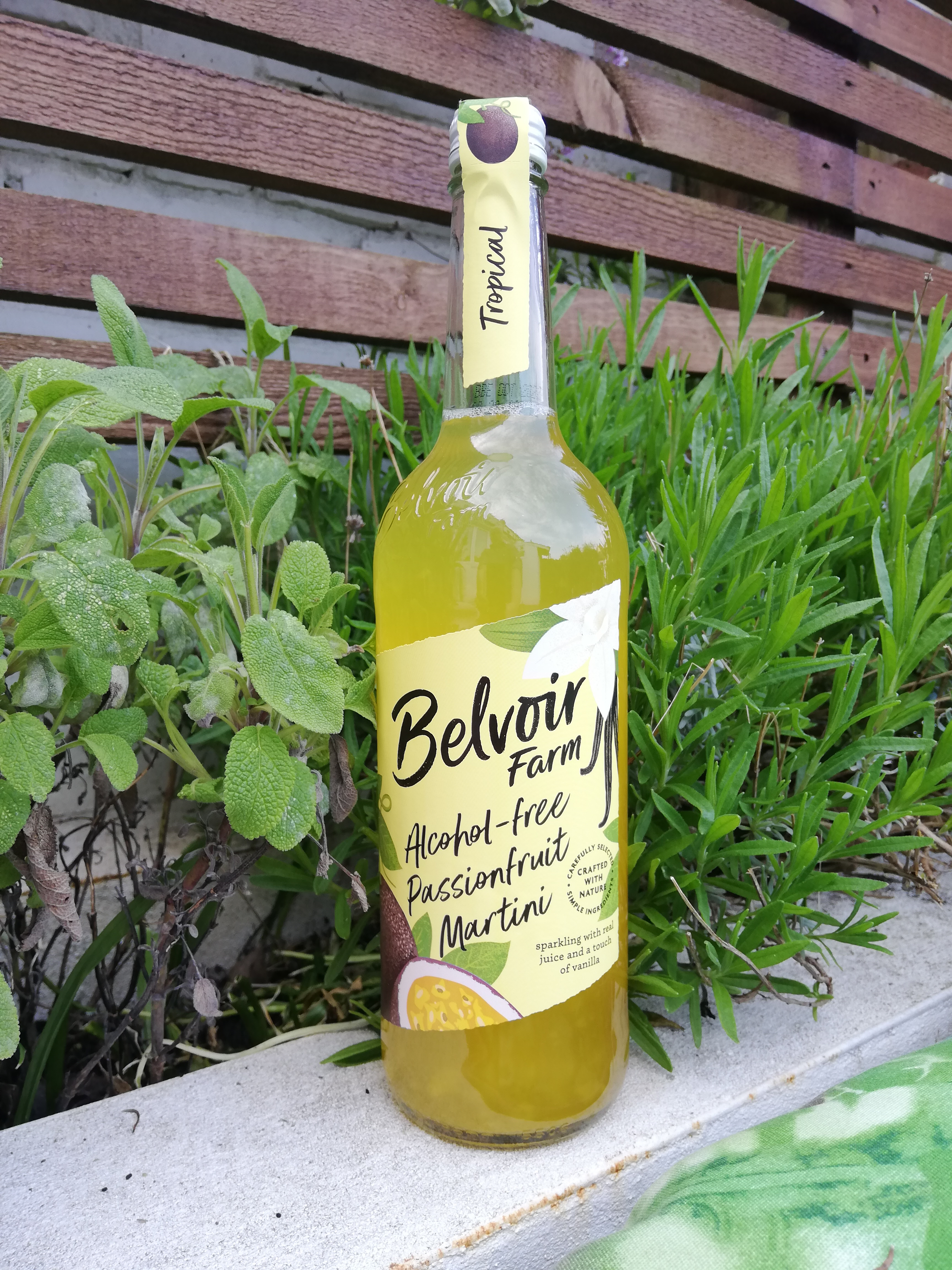 Belvoir Martini