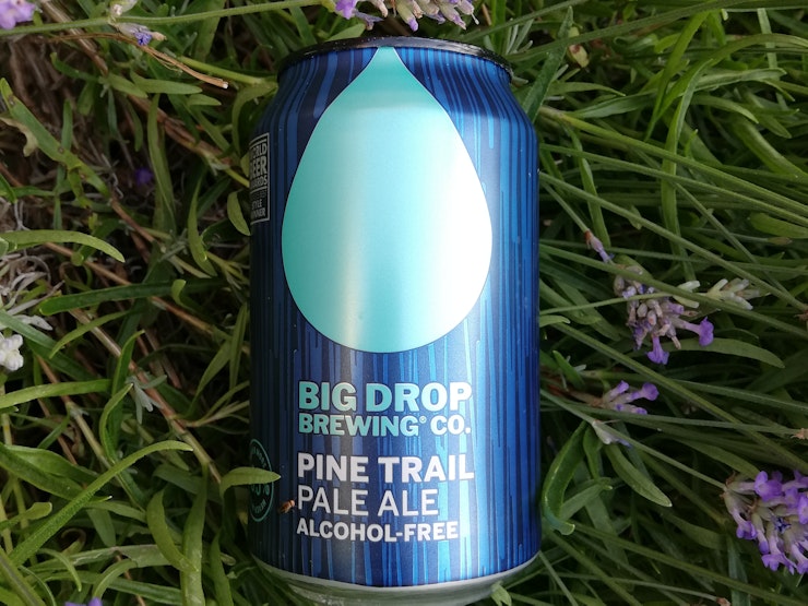 Big Drop Pine Trail