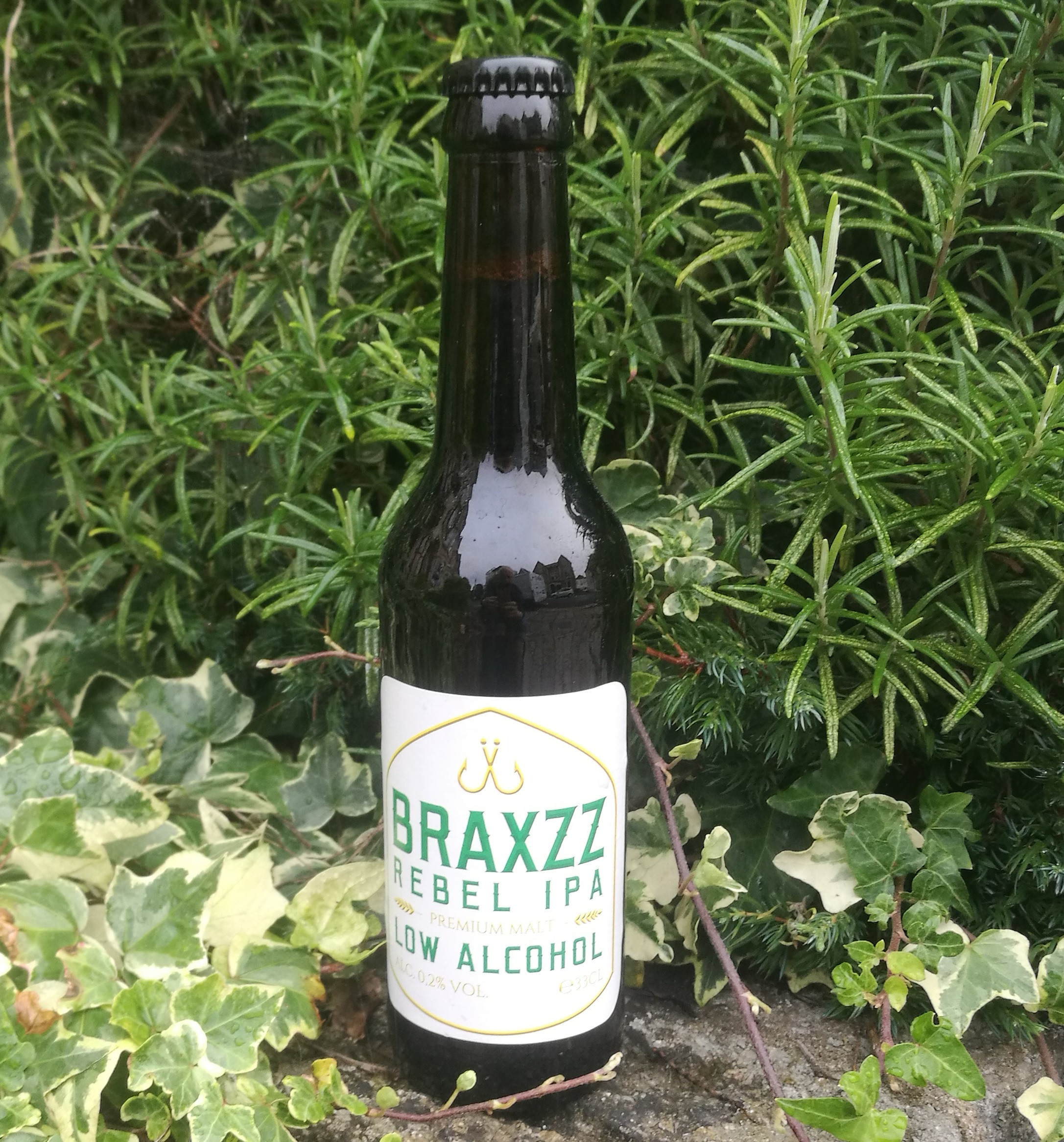 Braxzz Rebel IPA