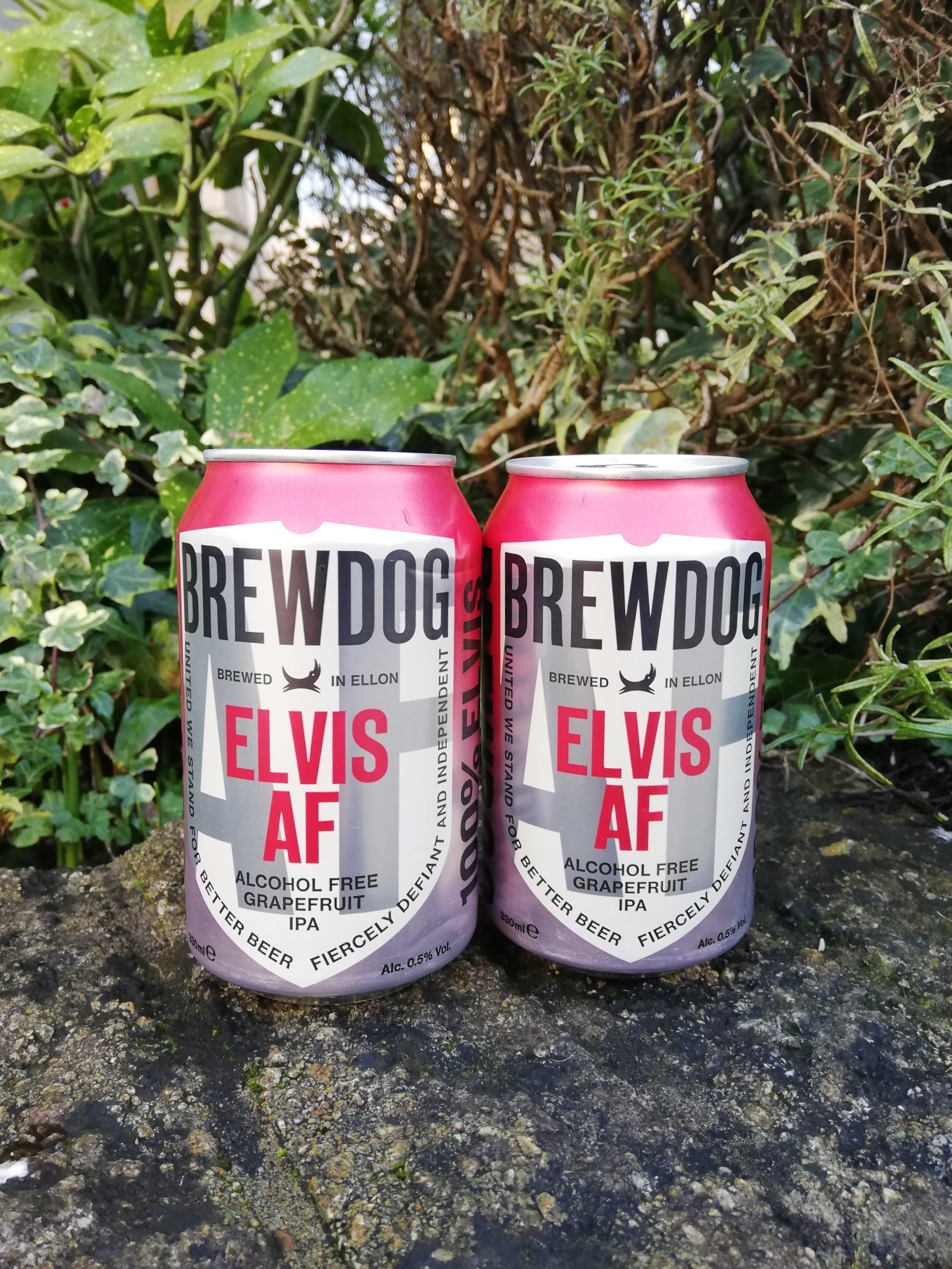 Brew Dog Elvis AF