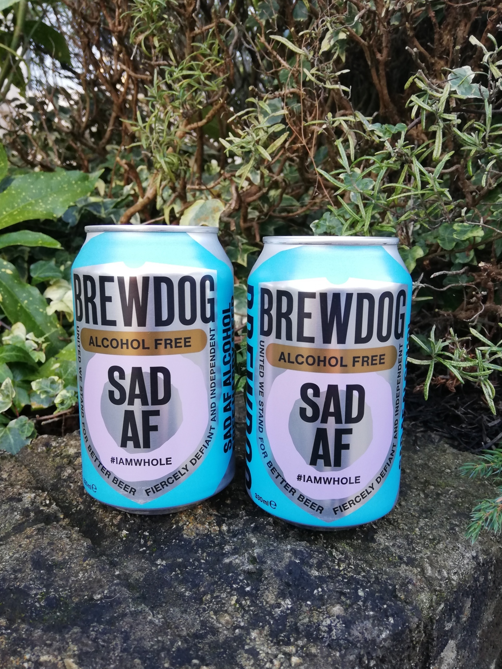 Brew Dog Sad AF