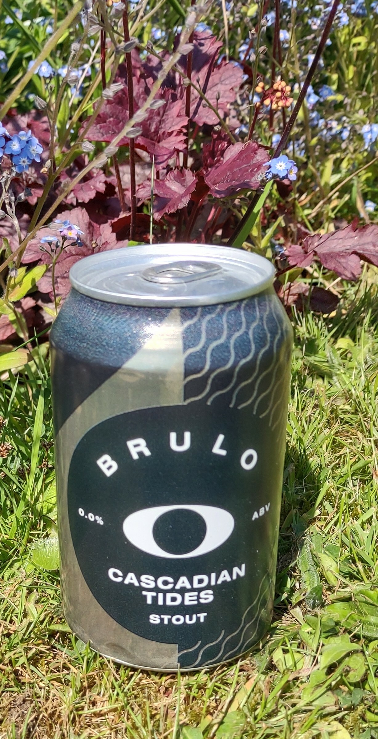 Bruloe Cascadian Tides