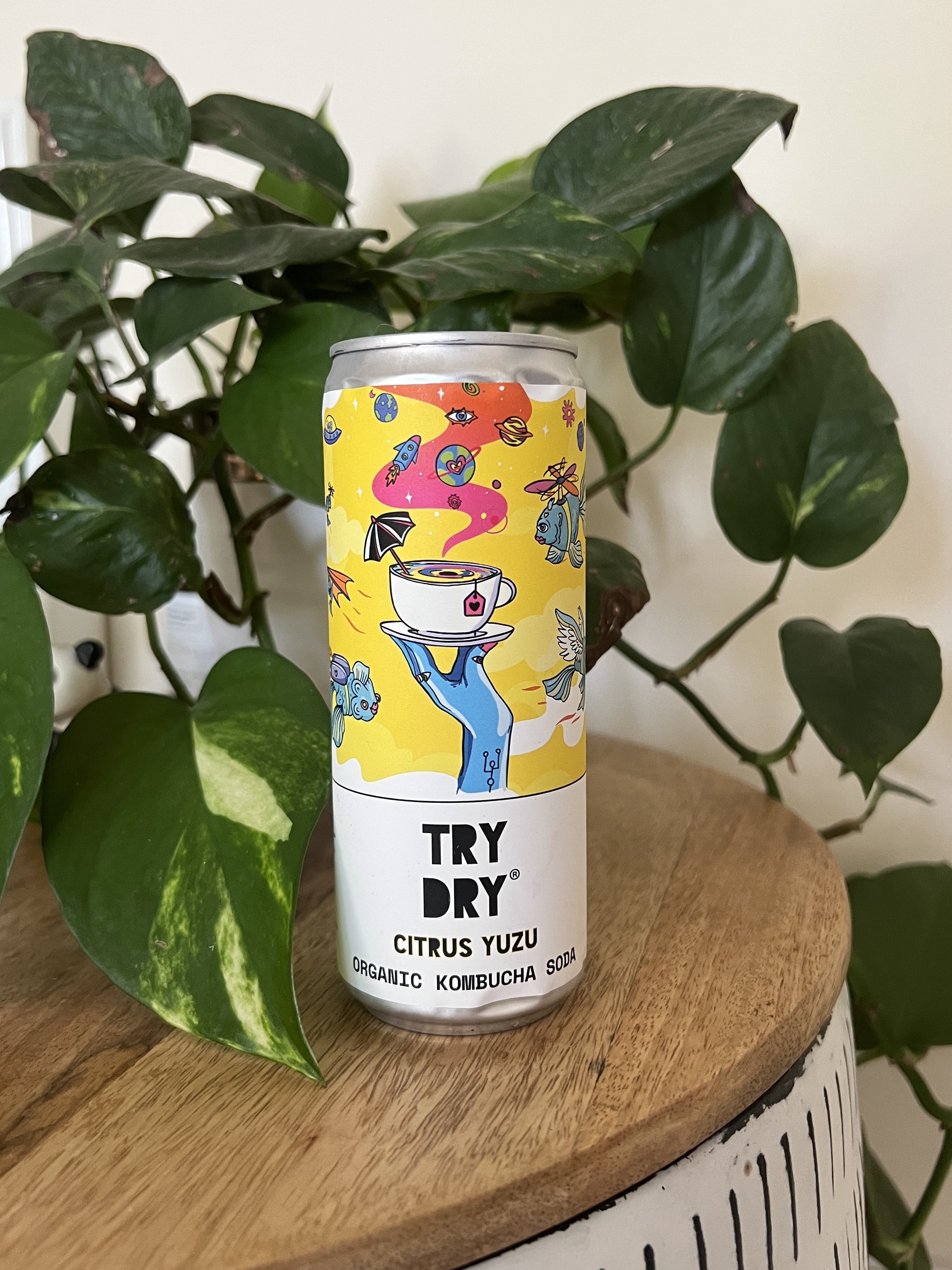 CC Try Dry Can