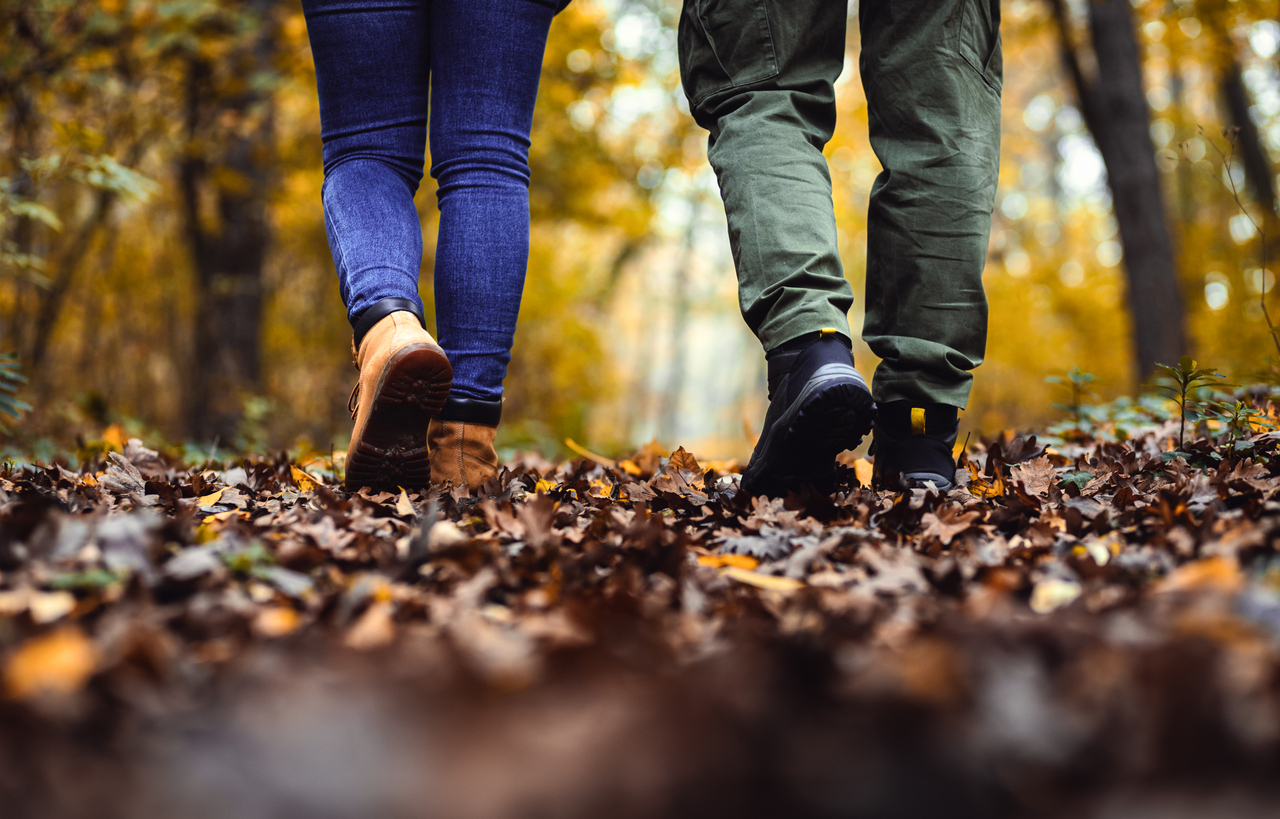 Close up of two walkers feet walking in forest amongst fallen leaves
