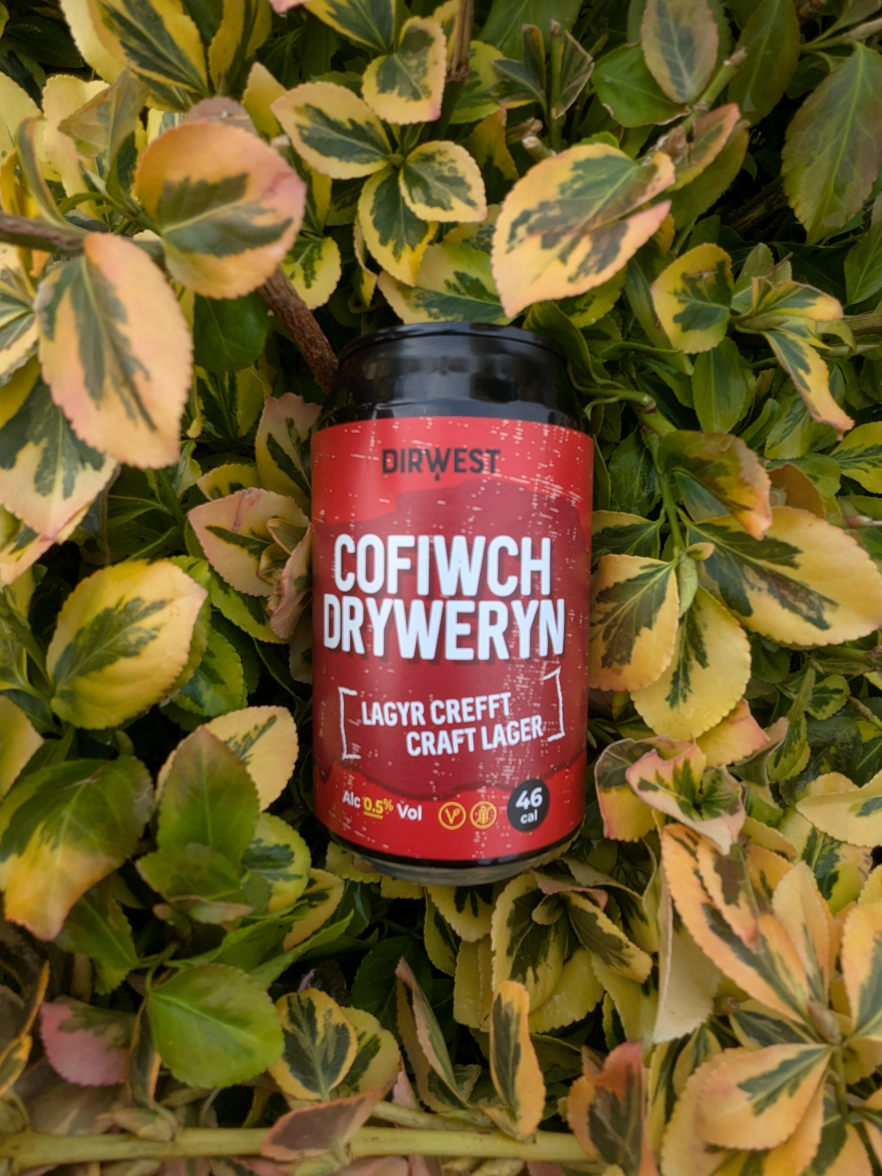 Cofiwch Dryweryn