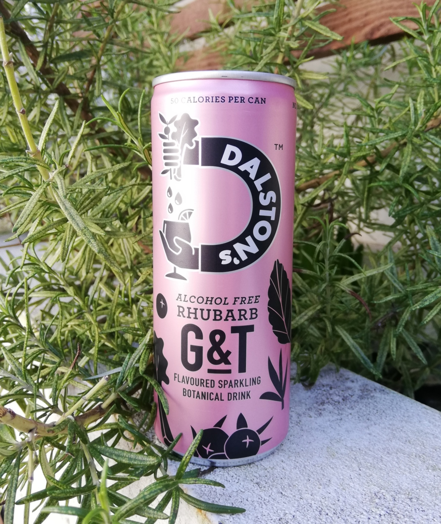 Dalstons rhubarb GT 1