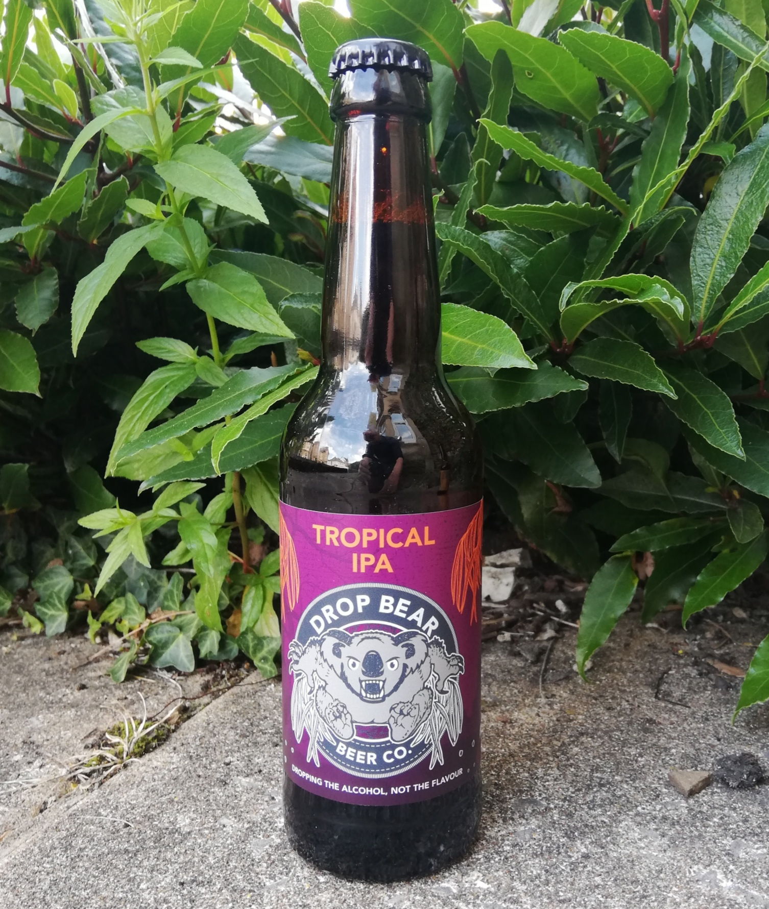 Drop Bear Tropical 1