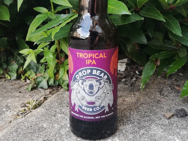 Drop Bear Tropical 1