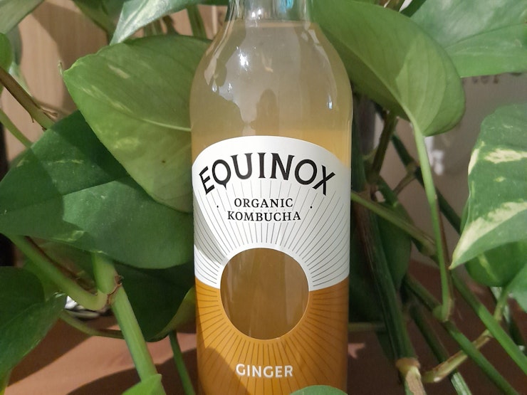 Equinox Ginger Kombucha