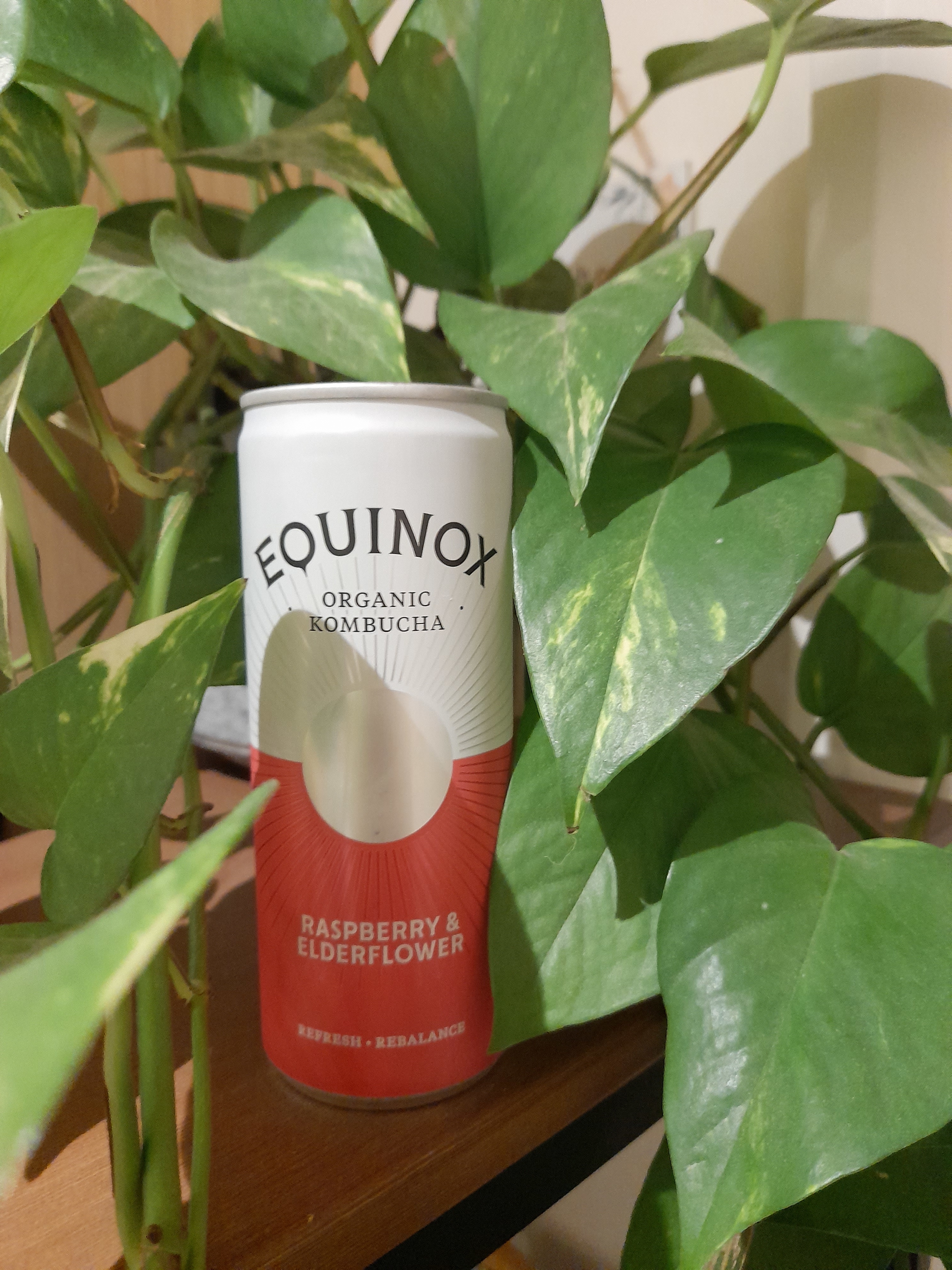 Equinox Raspberry Kombucha