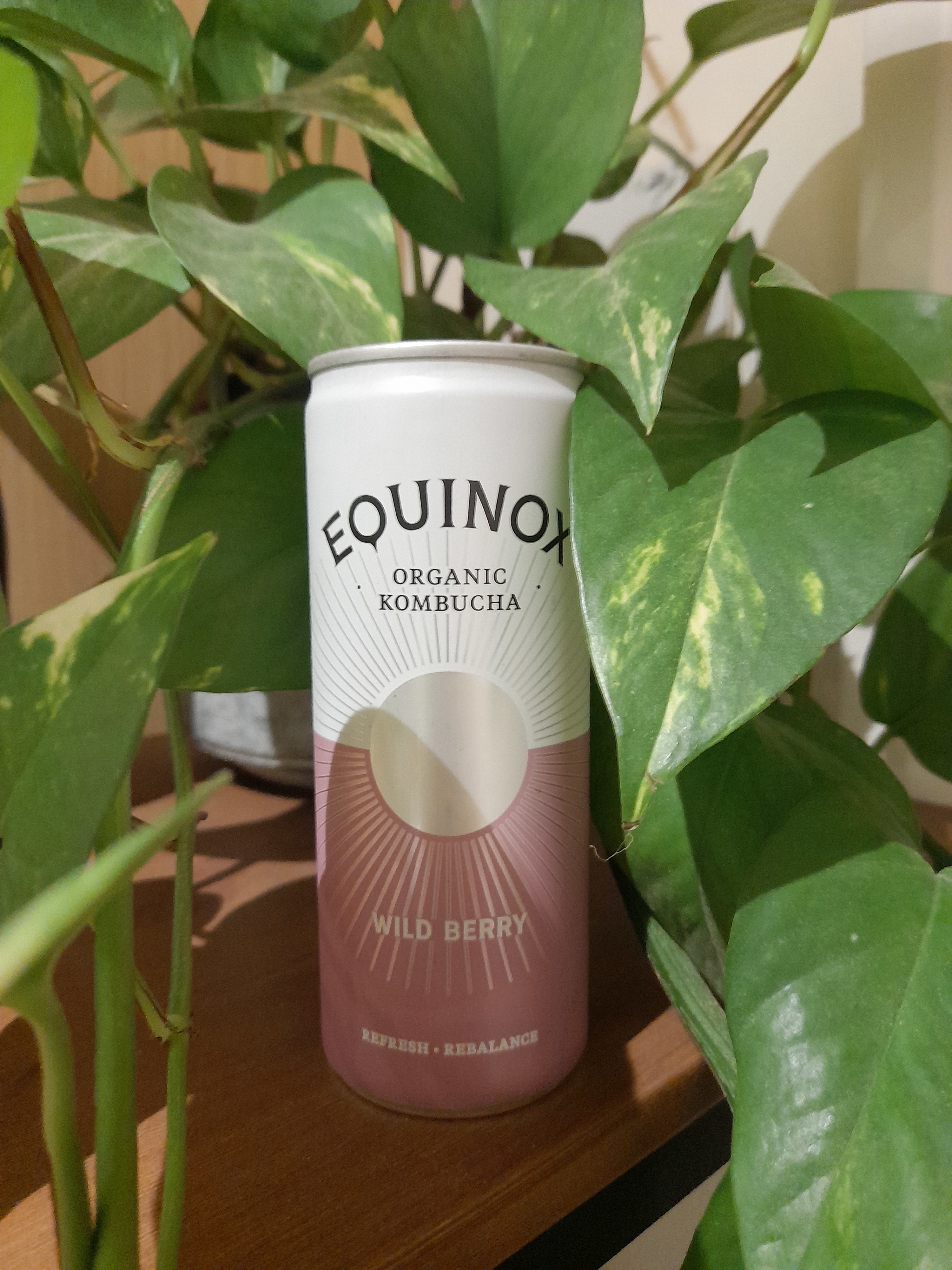 Equinox Wild Berry Kombucha