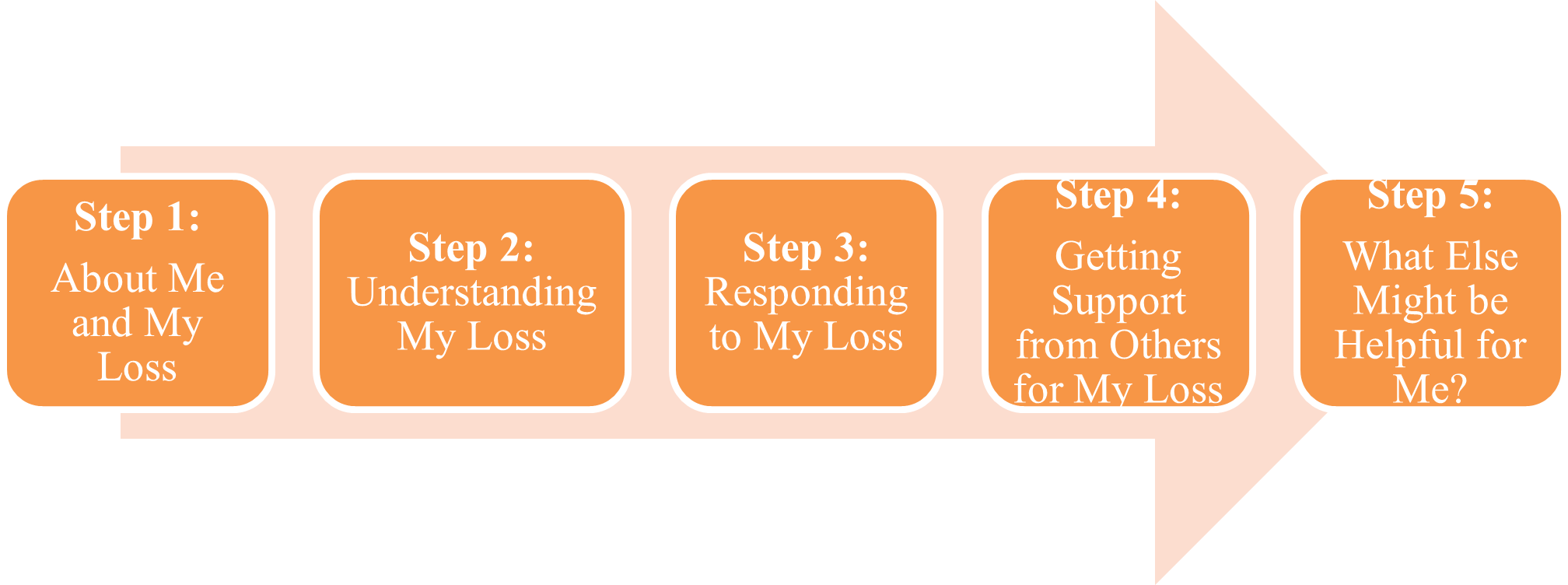Figure 1 Adapted 5 Step Method