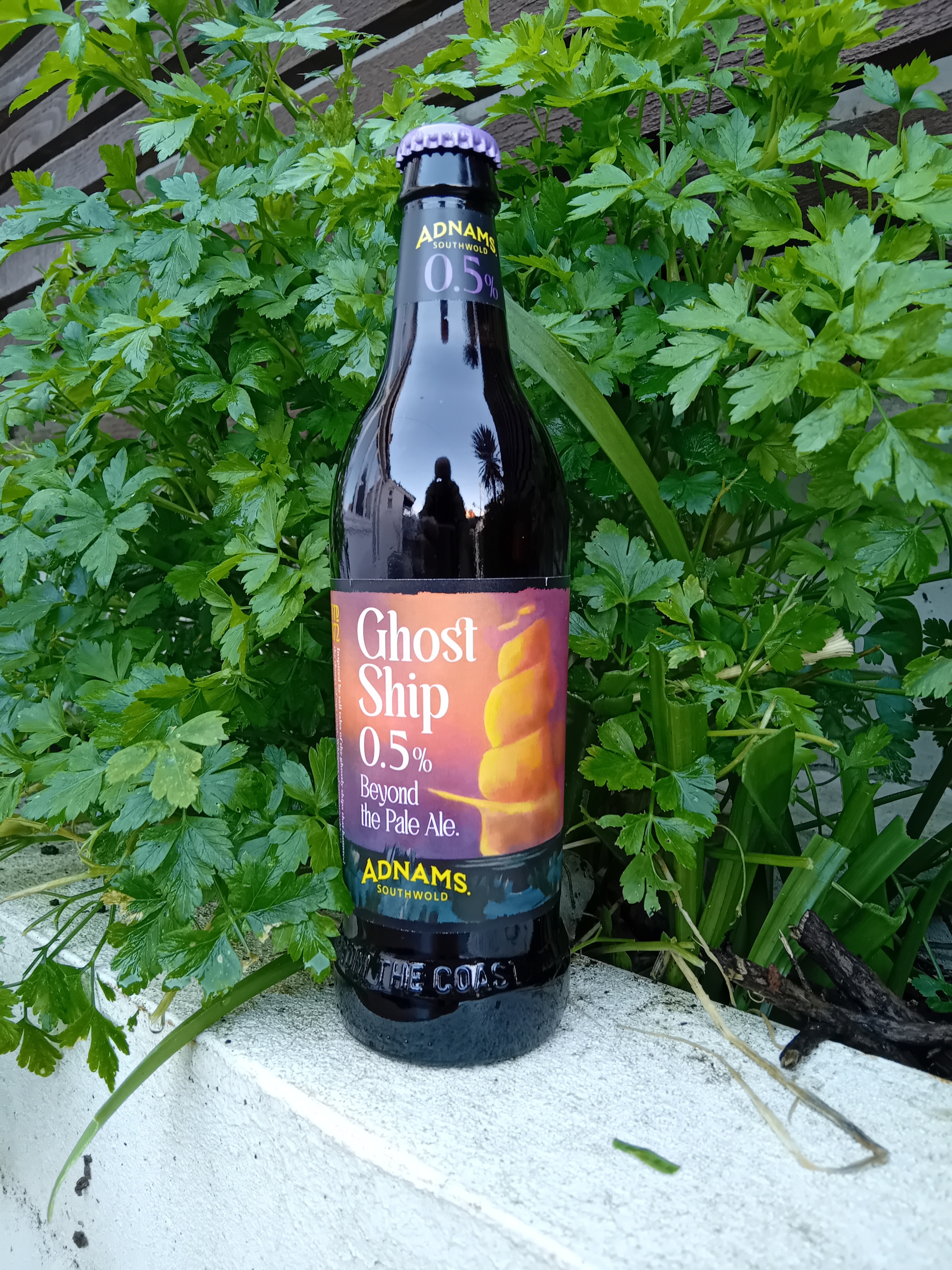 Ghost Ship 2024 image