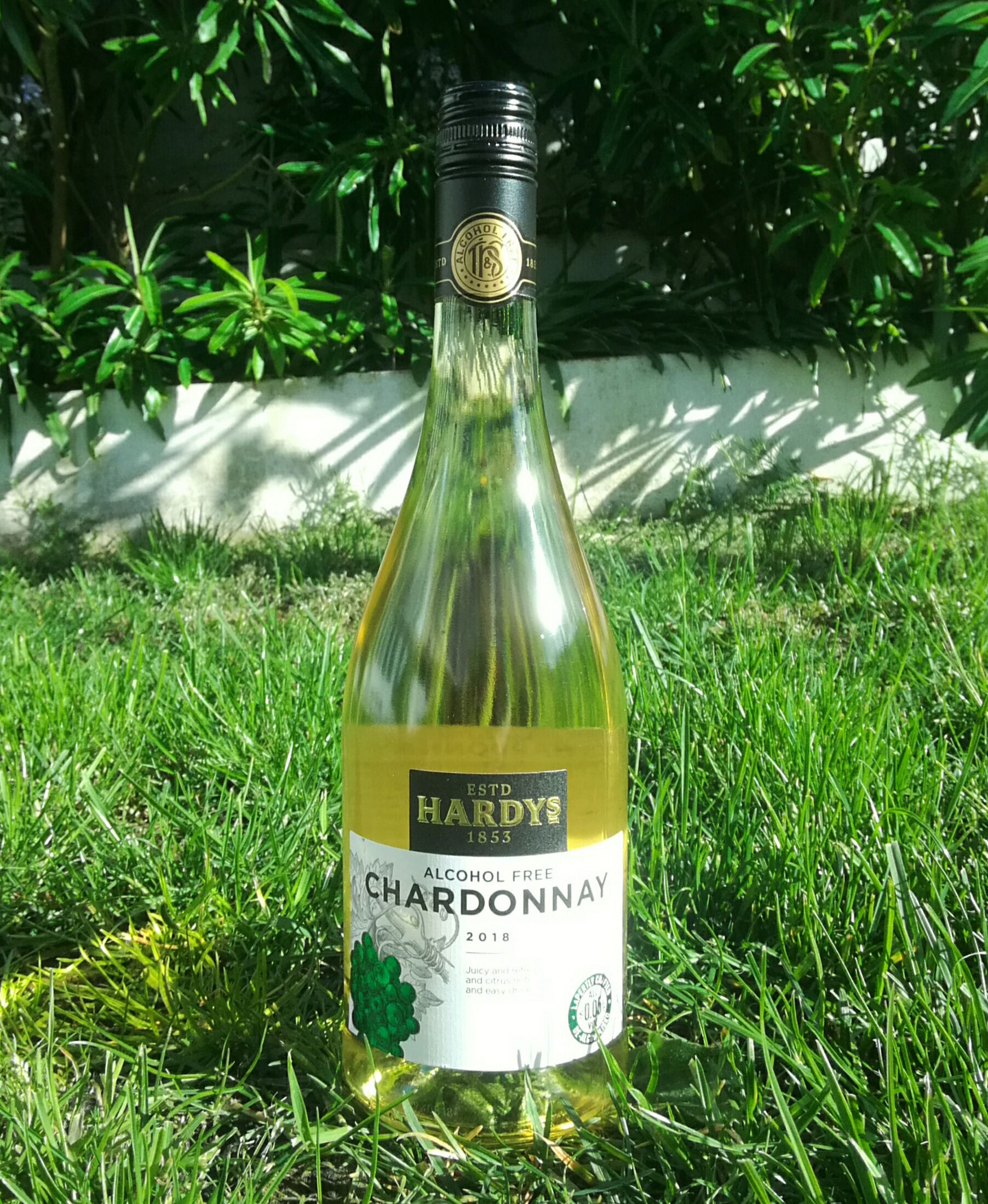 Hardeys Chardonnay