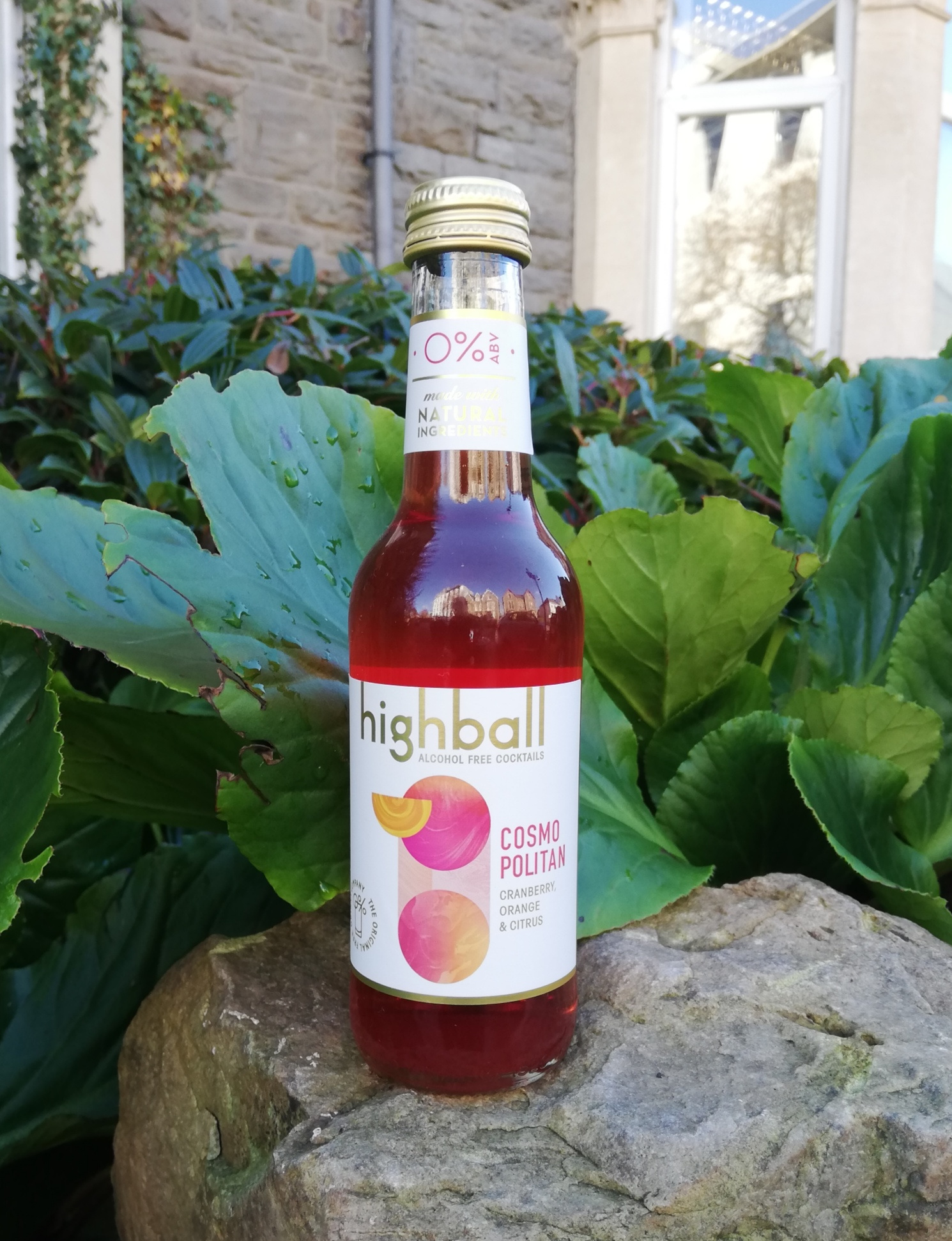 Highball Cosmopolitan