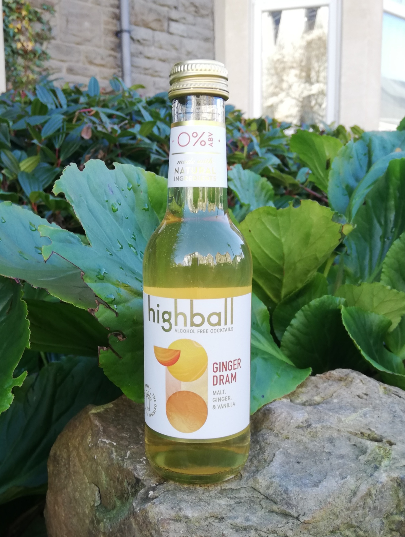 Highball Ginger Dram