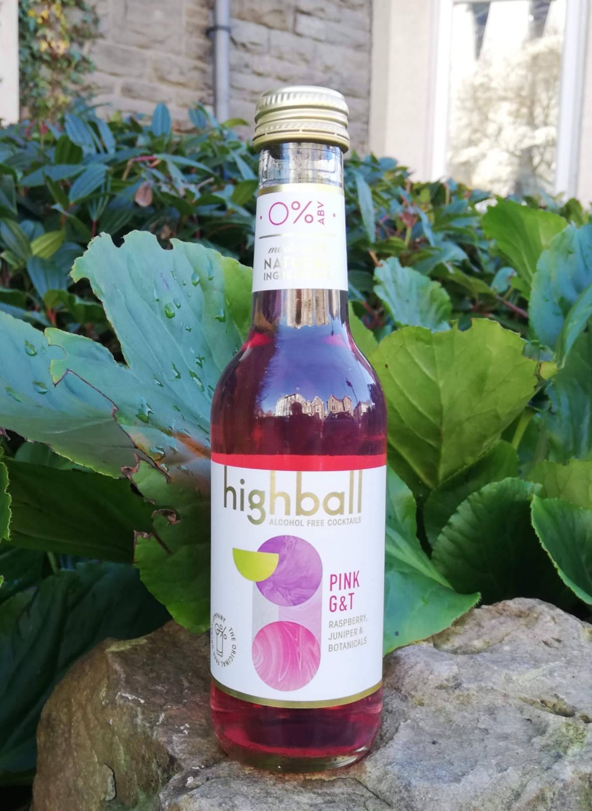 Highball Pink GT