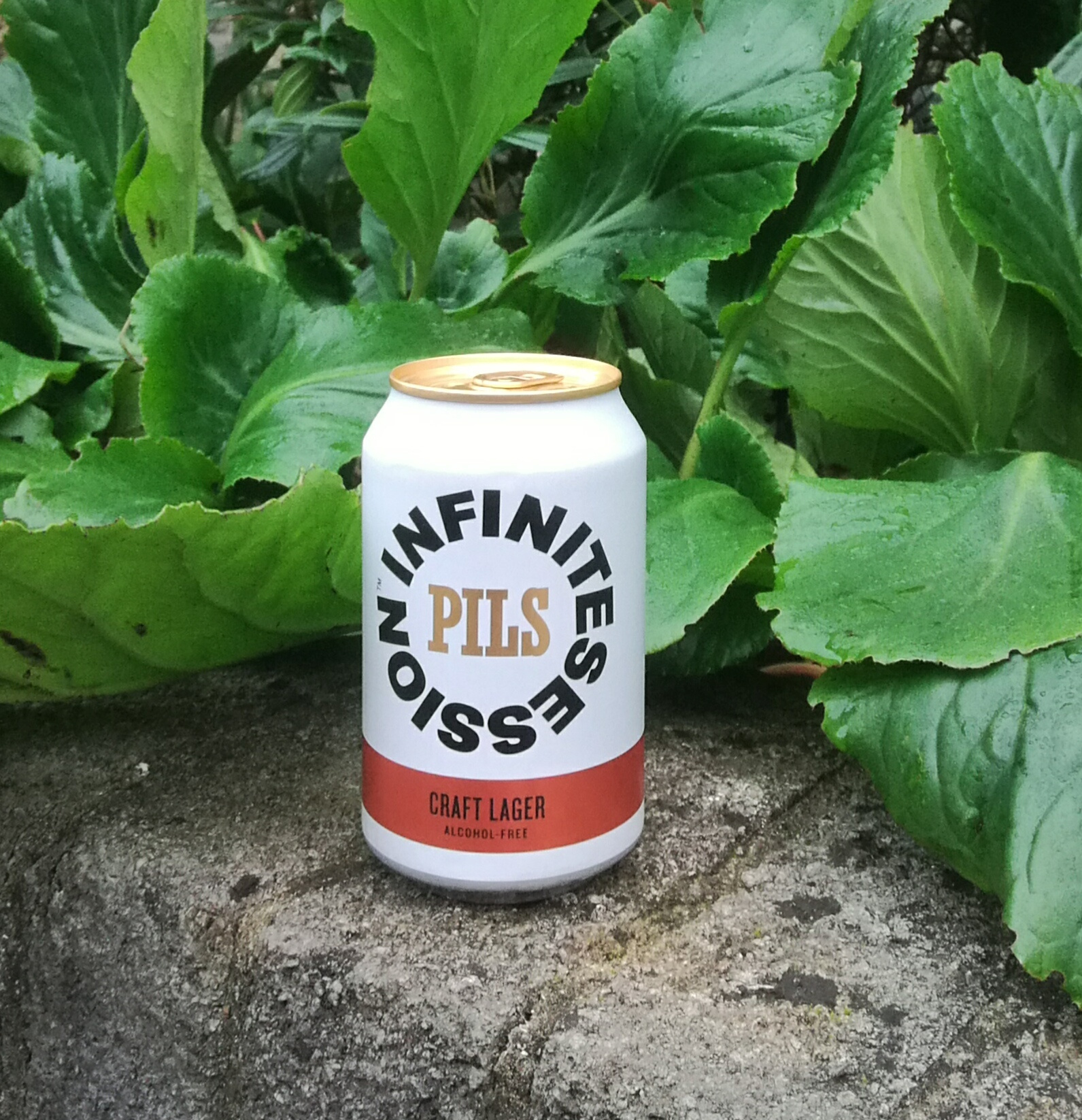 Infinite Session Plis