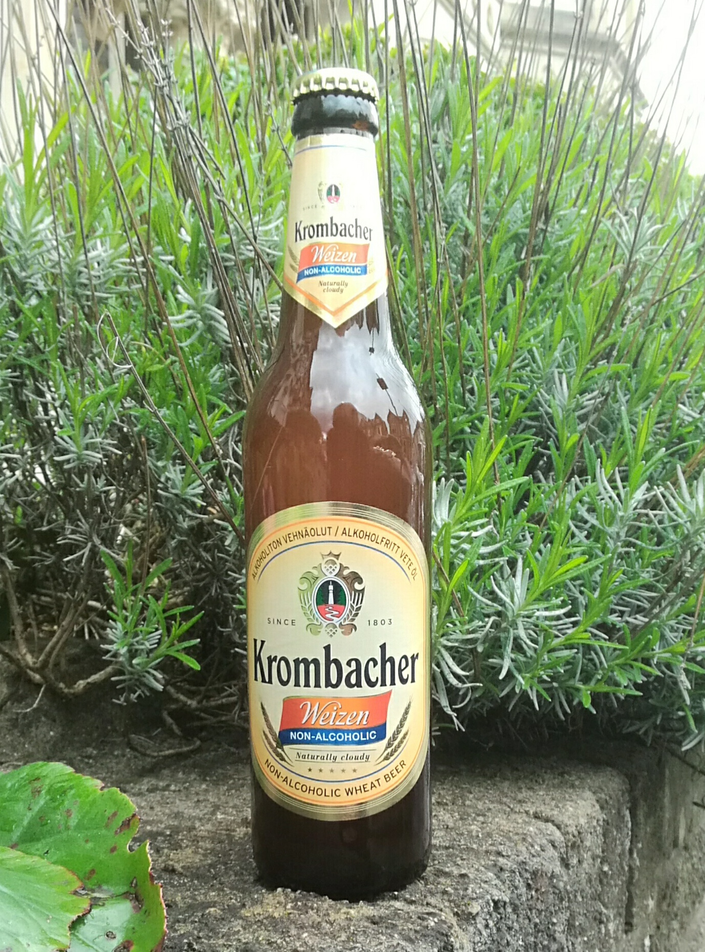 Kombacher Weizen