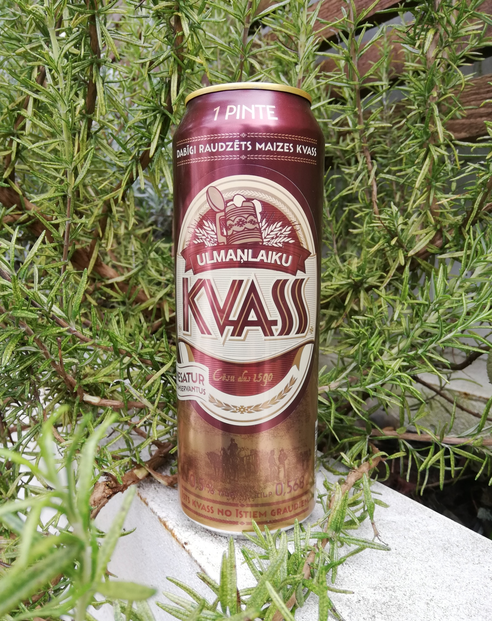 Kvass