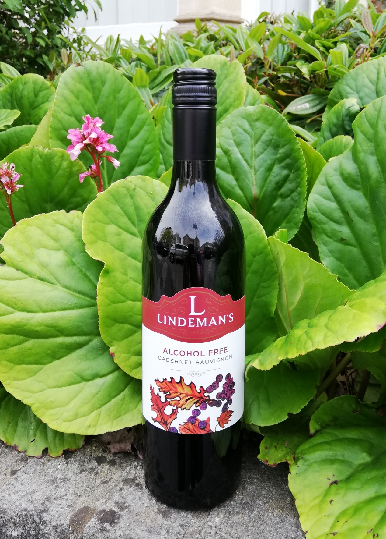 Lindeman red