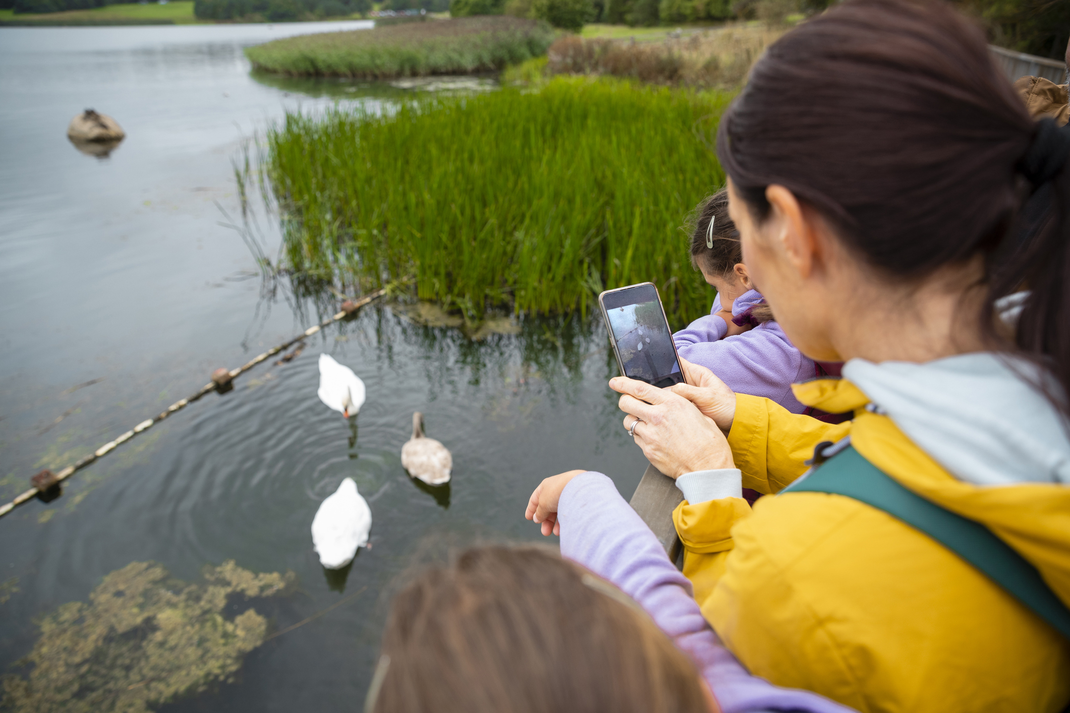 Low cost and free hobbies Blog img