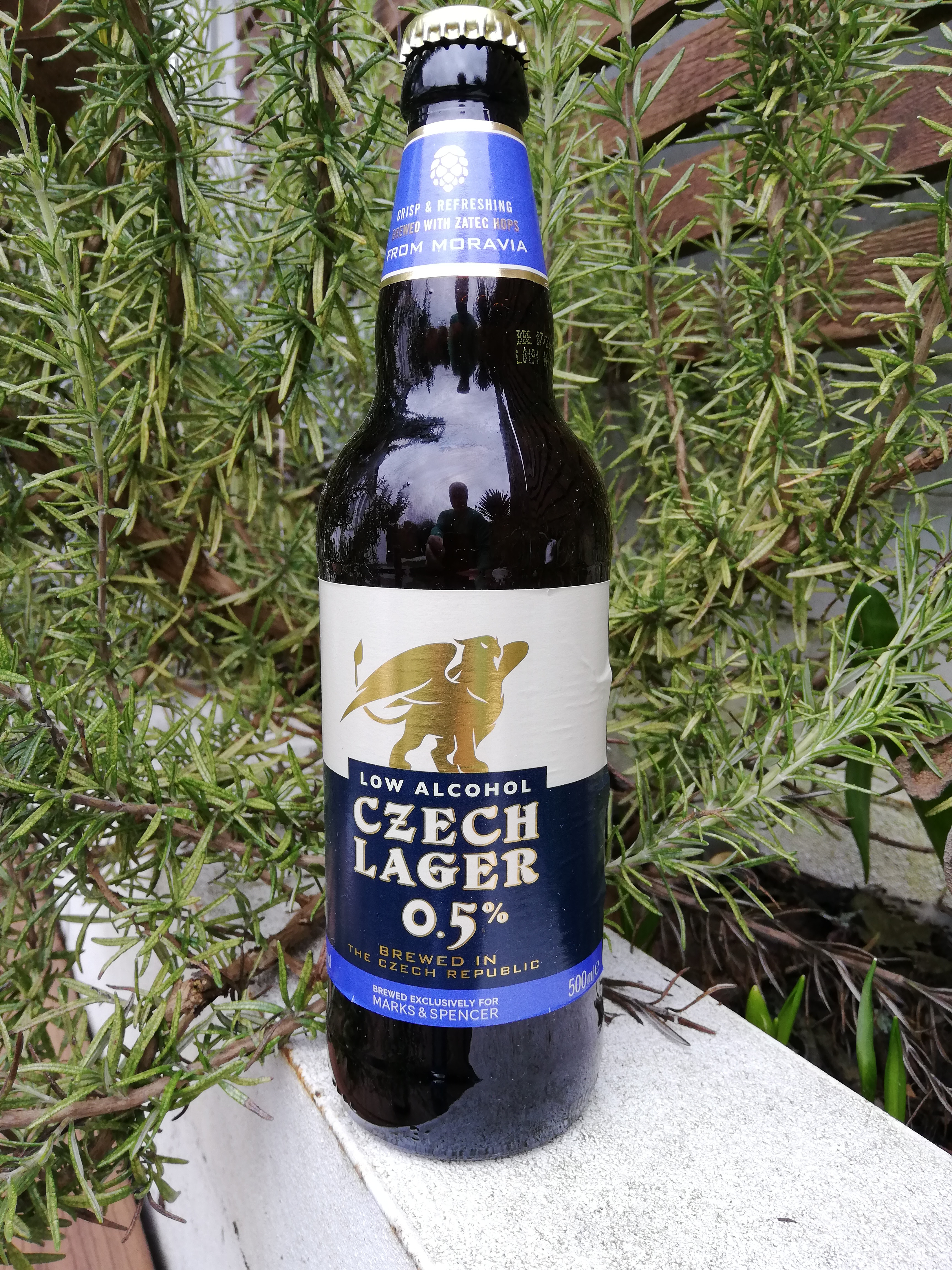 MS Czech lager
