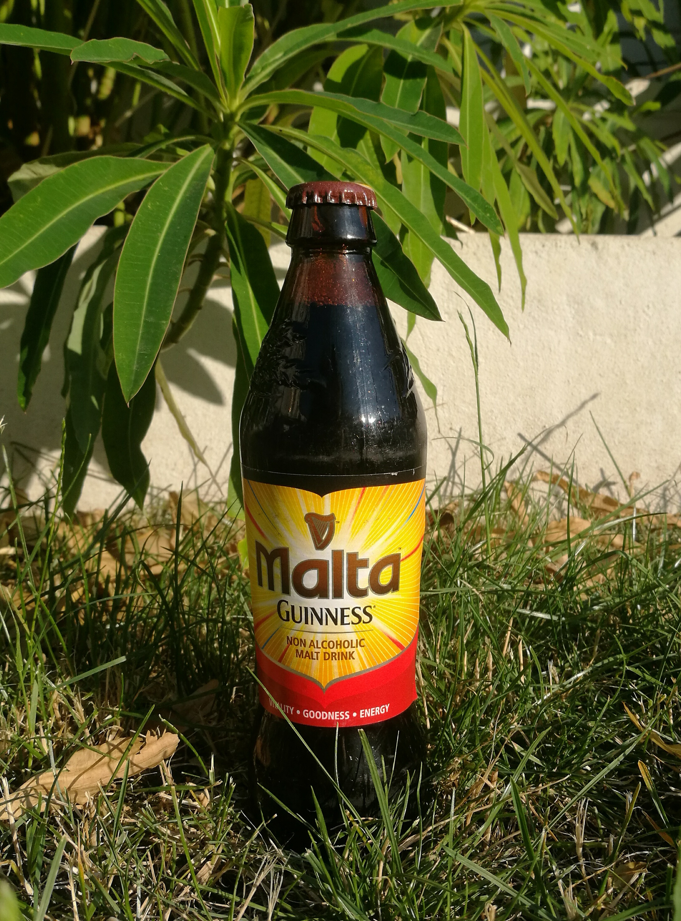 Malta Guinness
