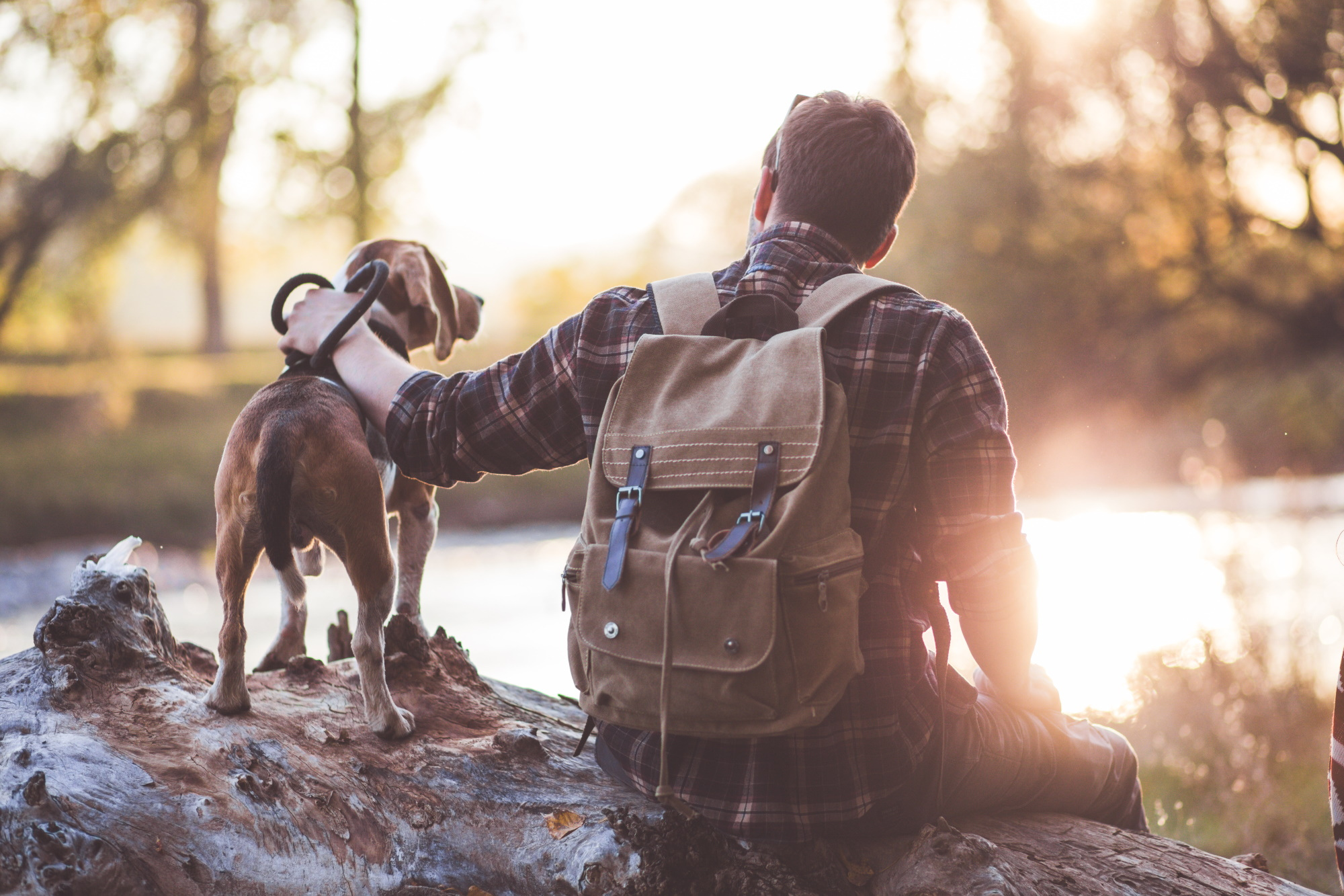 Man in woods with dog