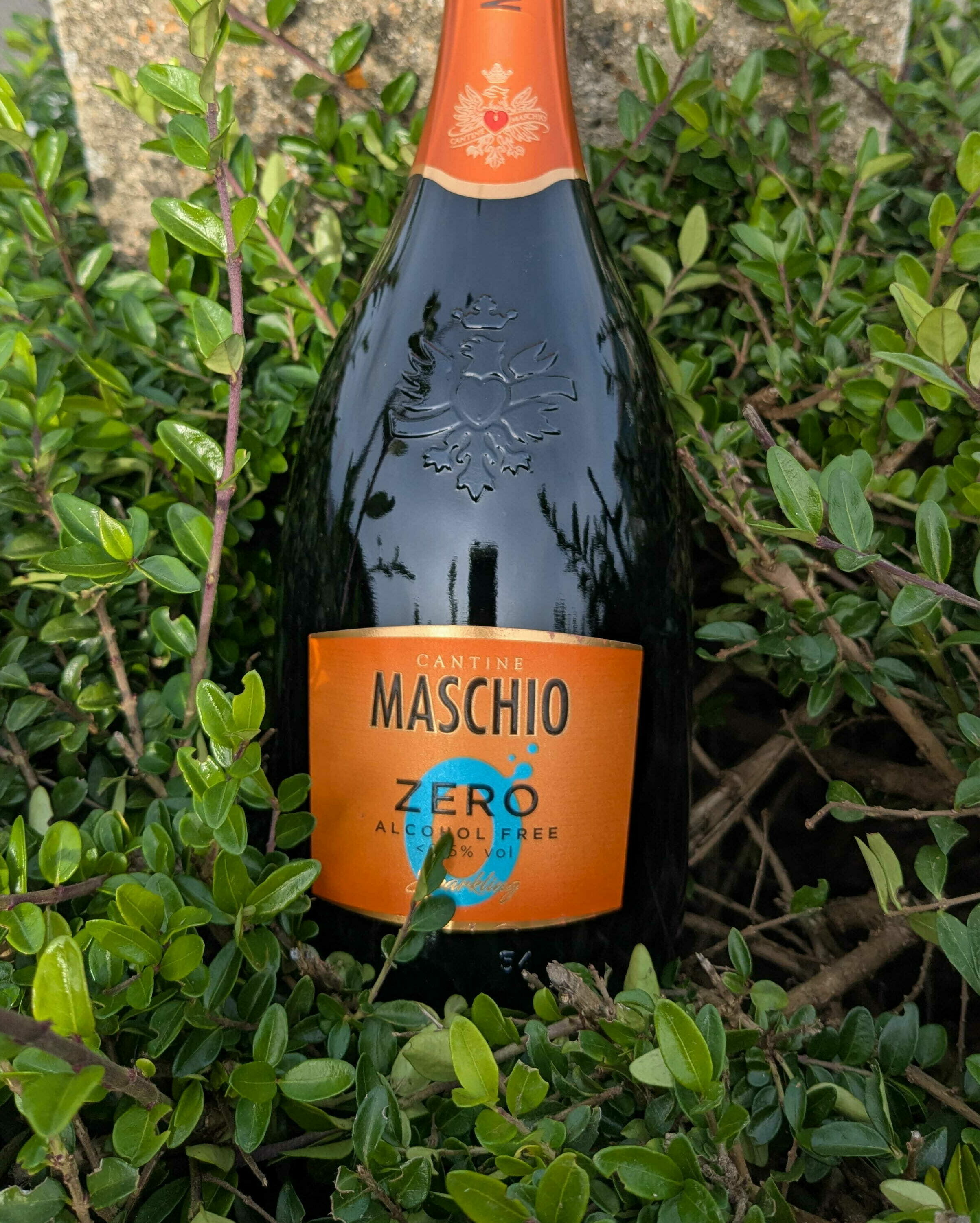Maschio