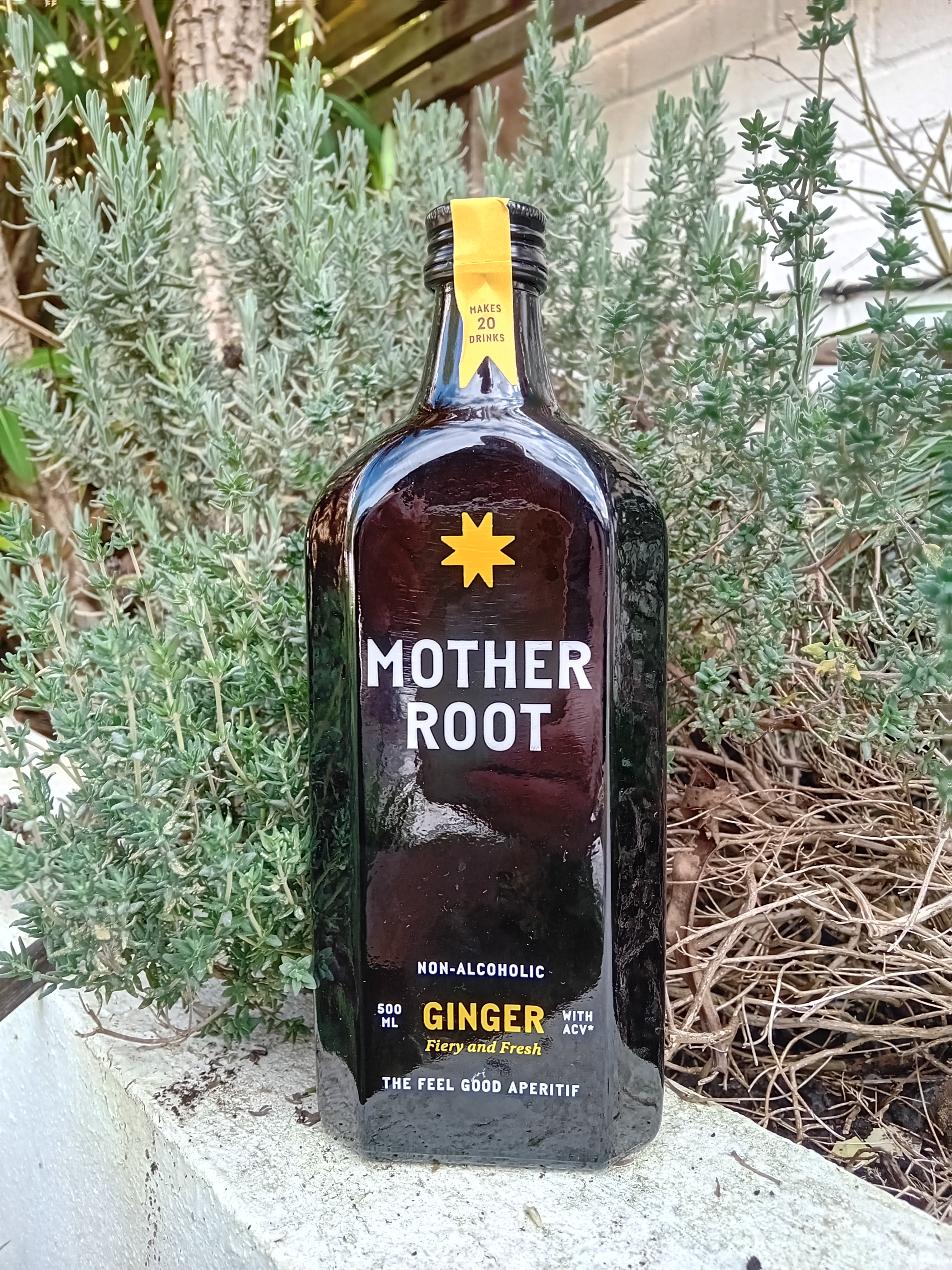 Mother Root
