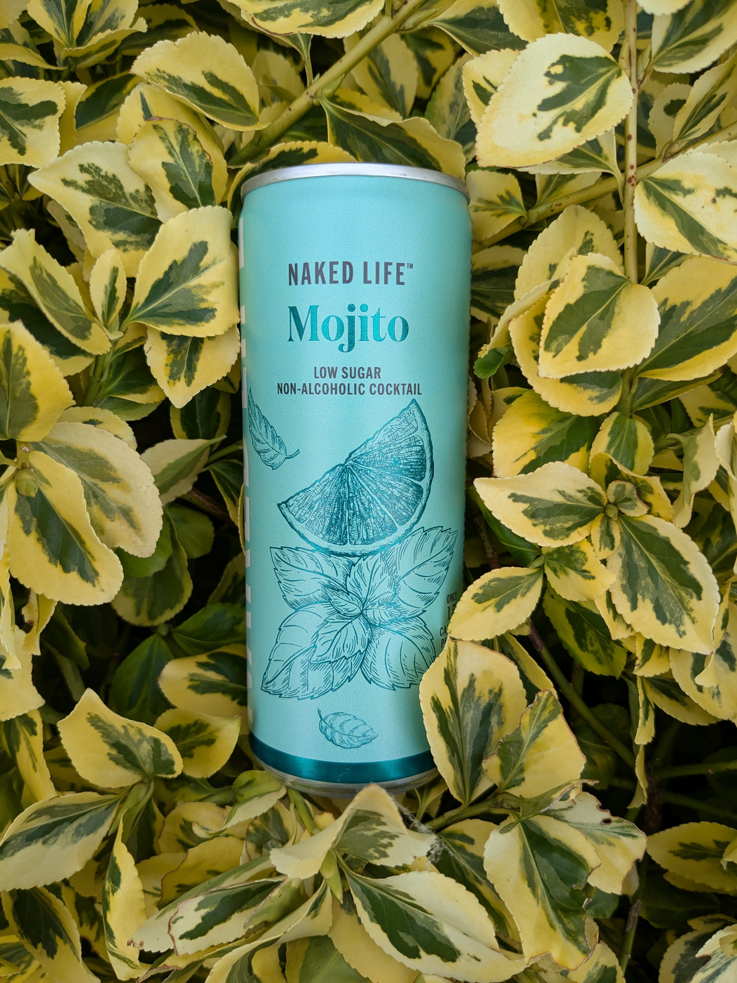 Naked Life Mojito