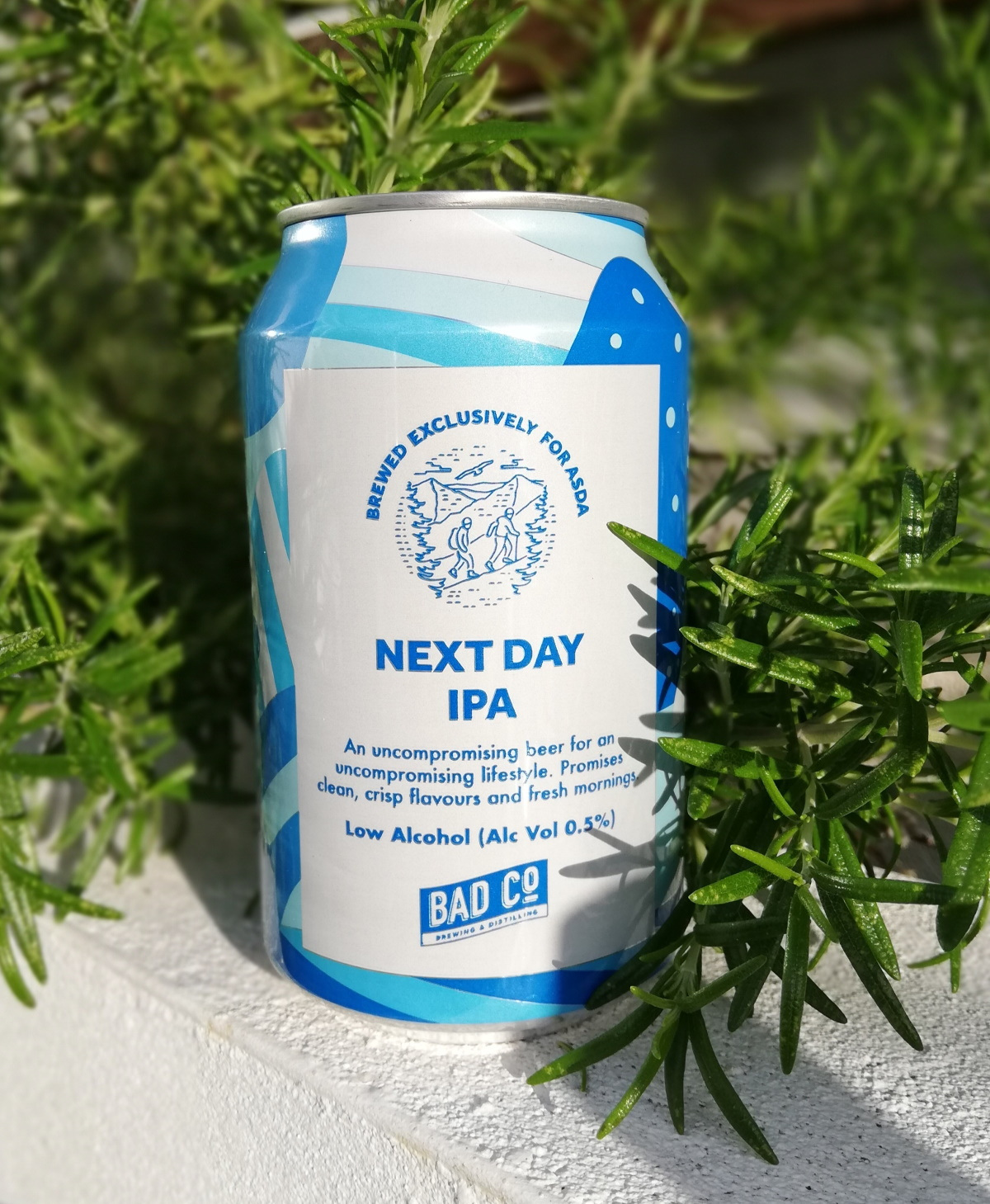 Next Day IPA 1