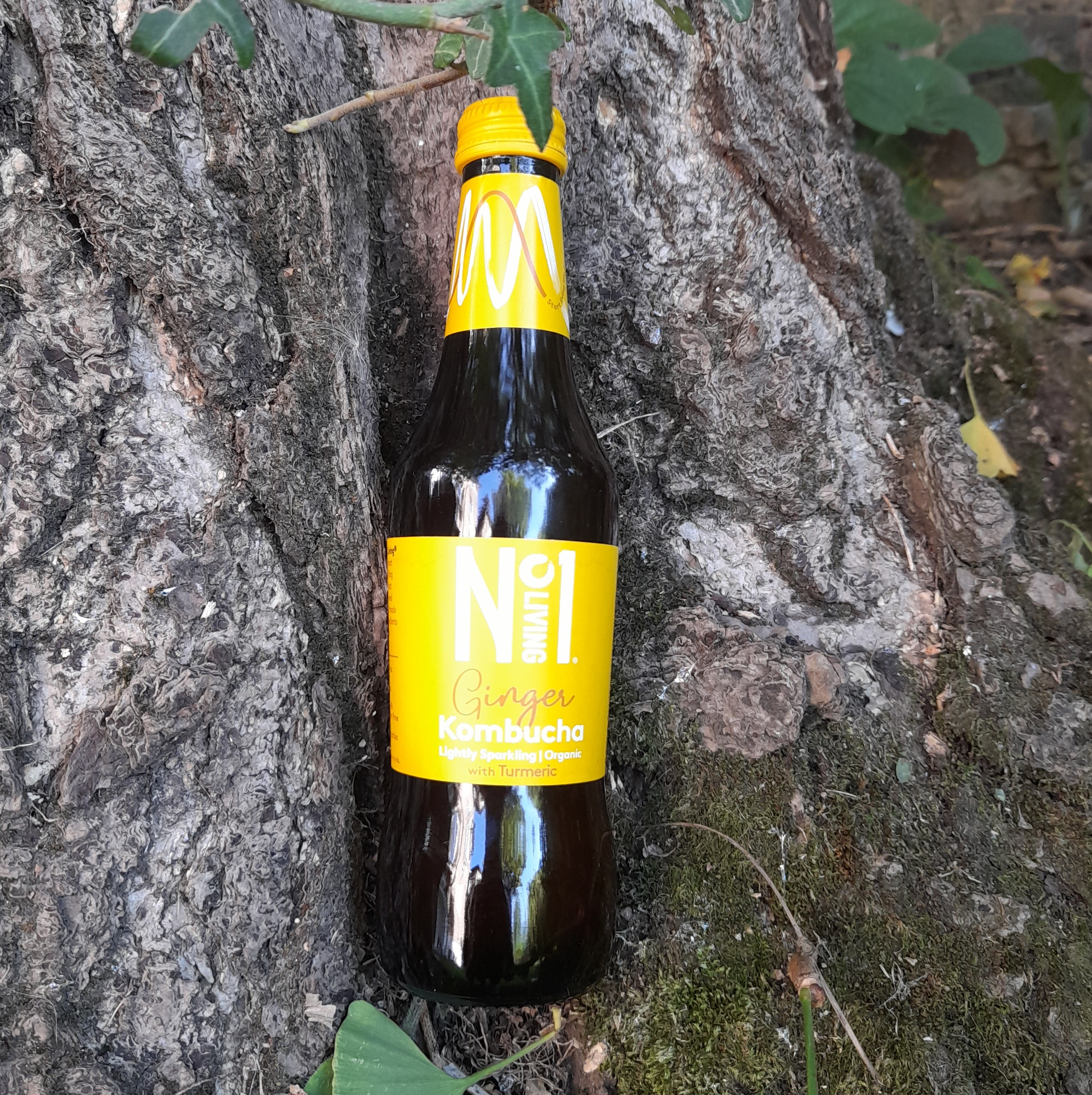 No 1 Living Ginger Kombucha