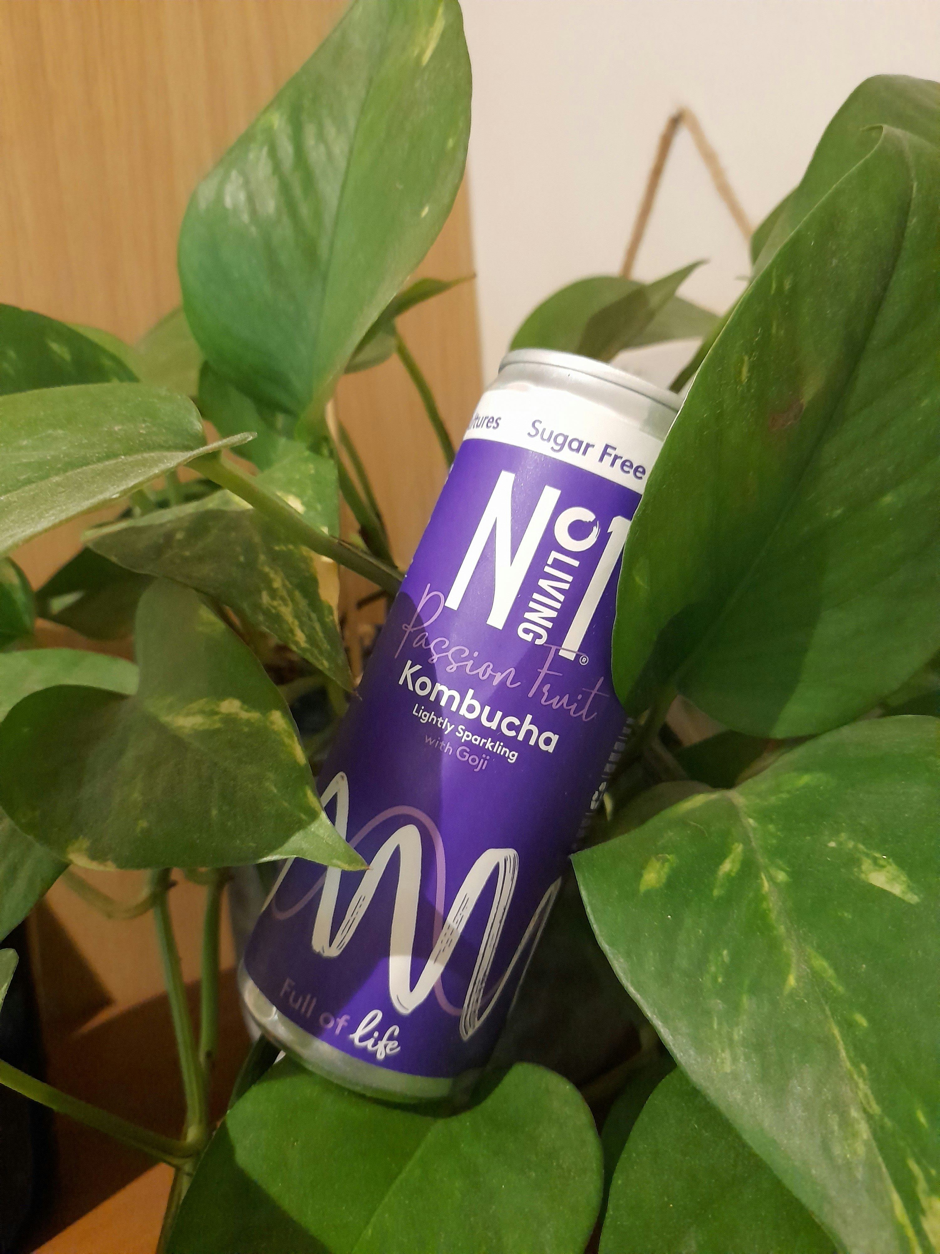 No 1 Passion Fruit Kombucha