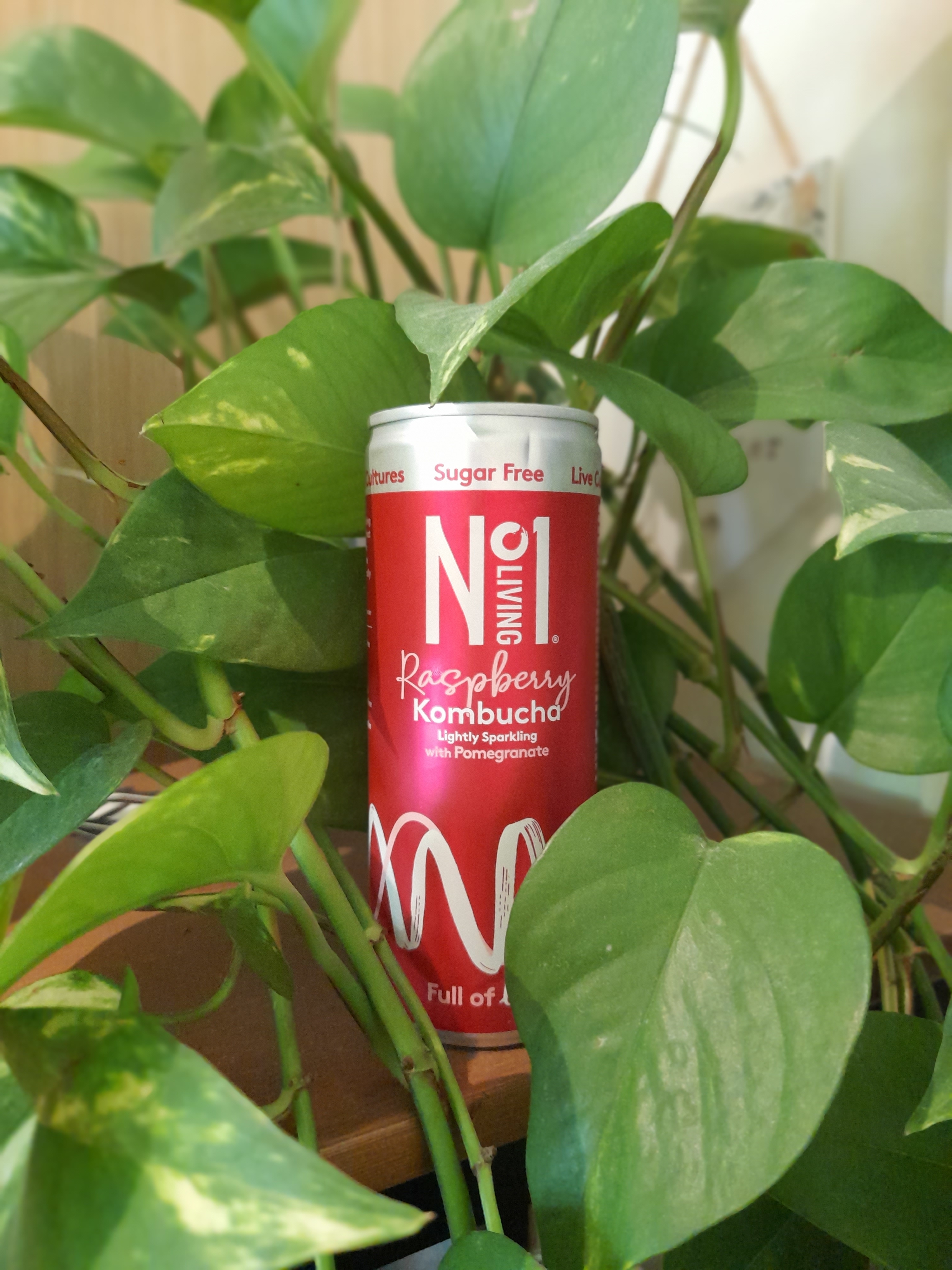 No 1 Raspberry Kombucha