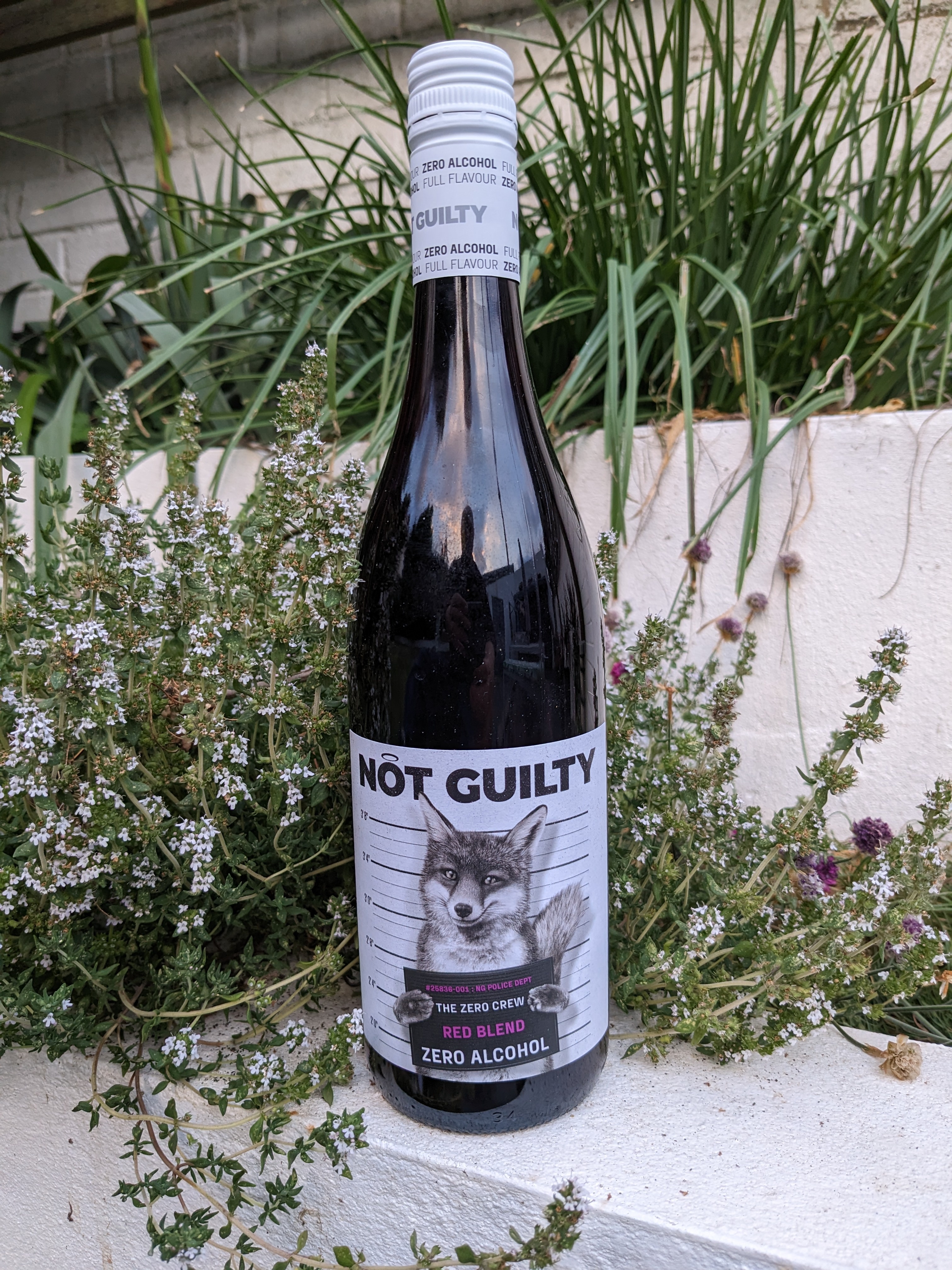 Not Gulity Red Blend