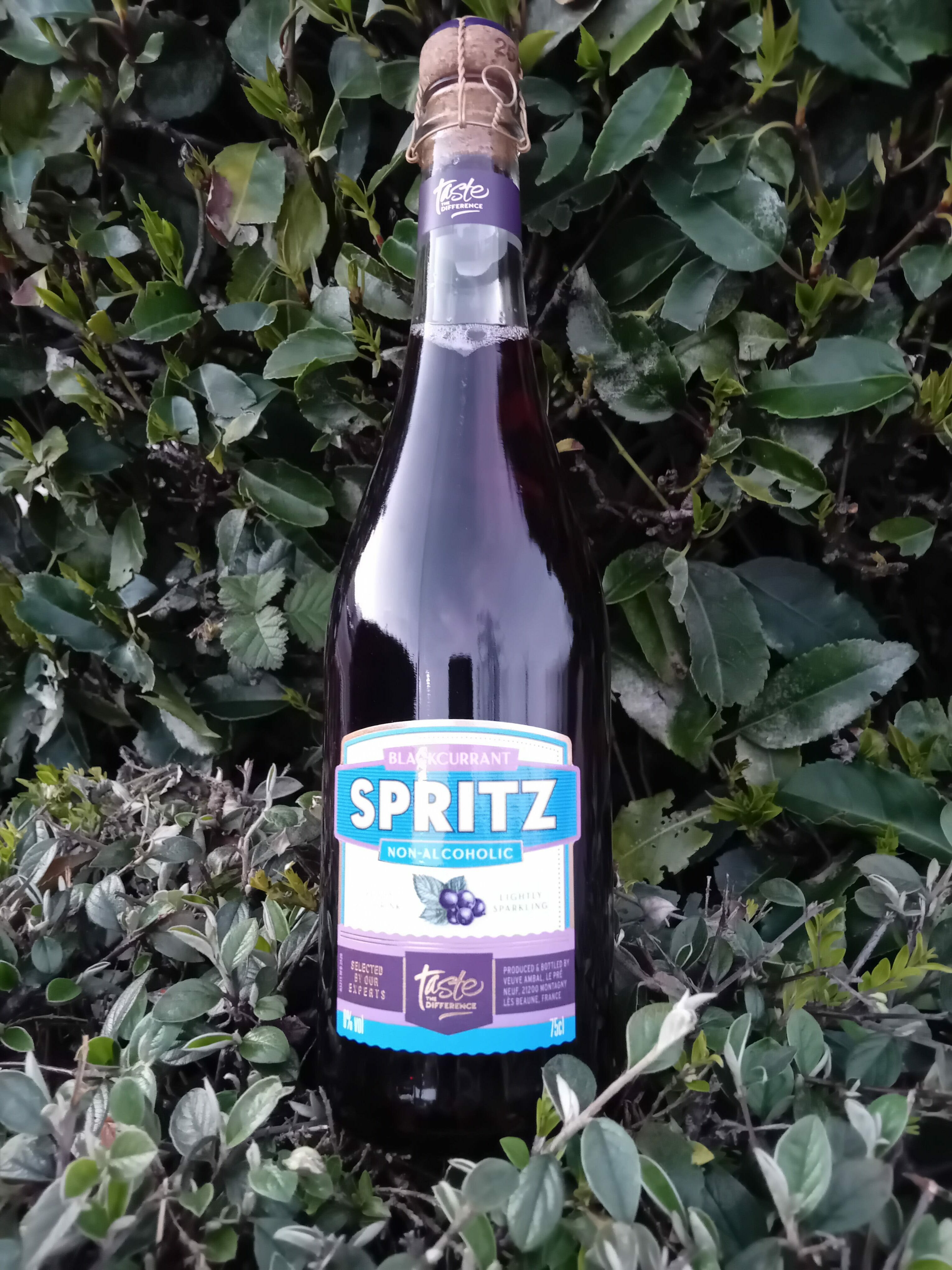 Sainsburys Blackcurrant Spritz