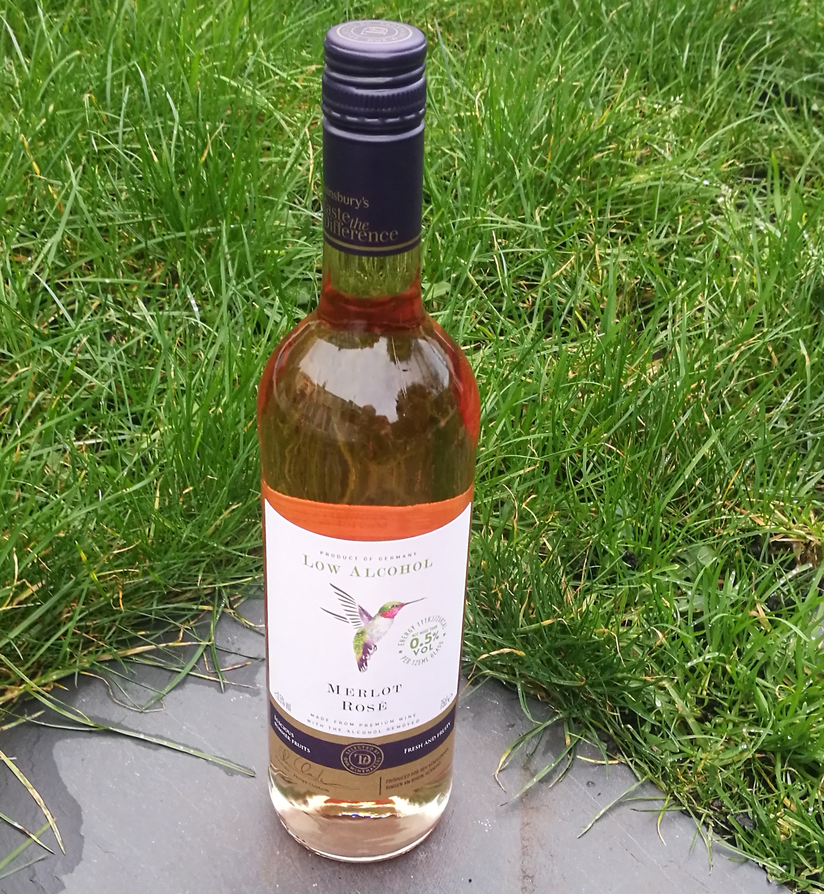 Sainsburys Merlot Rose