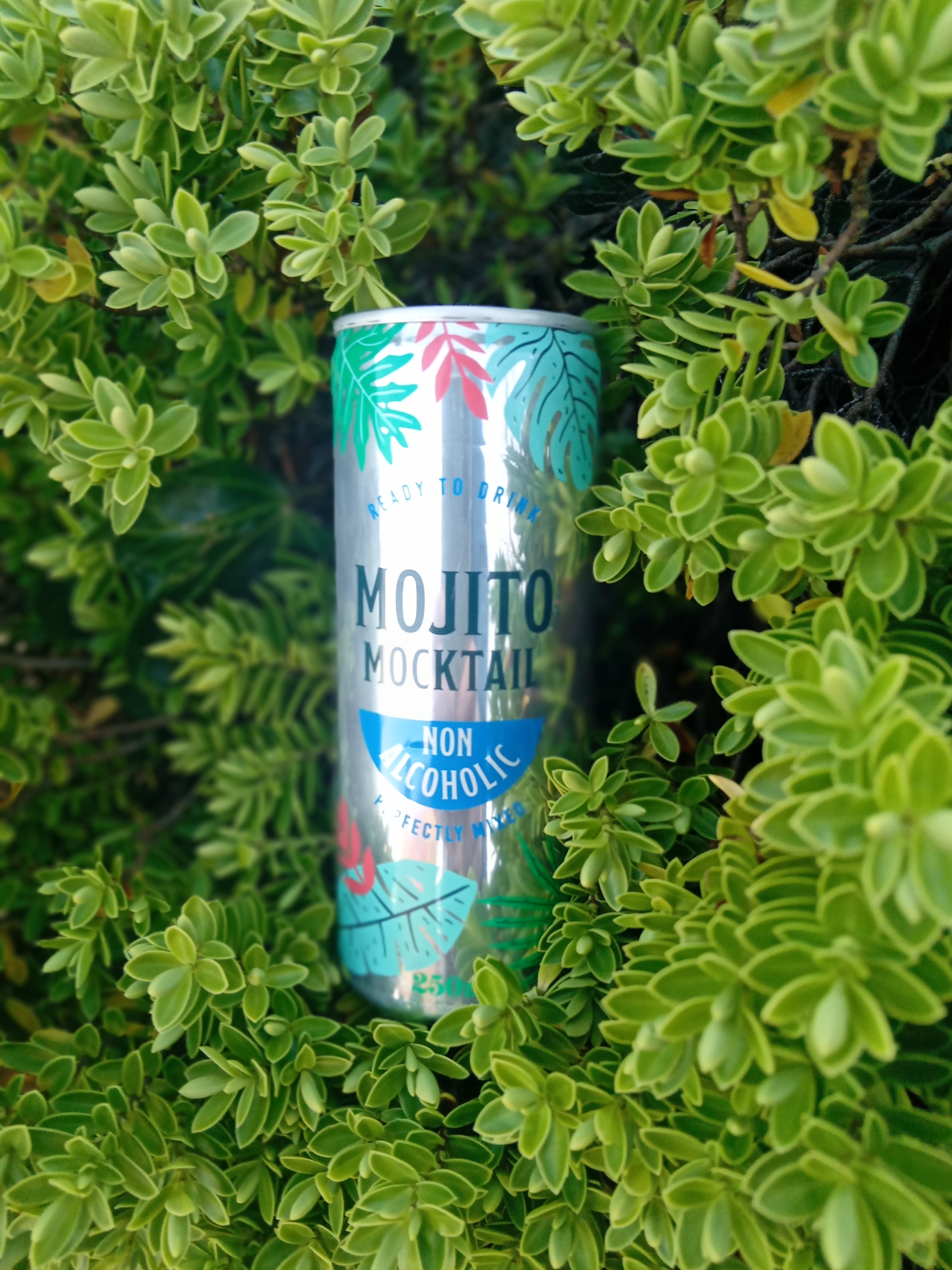 Sainsburys Mojito