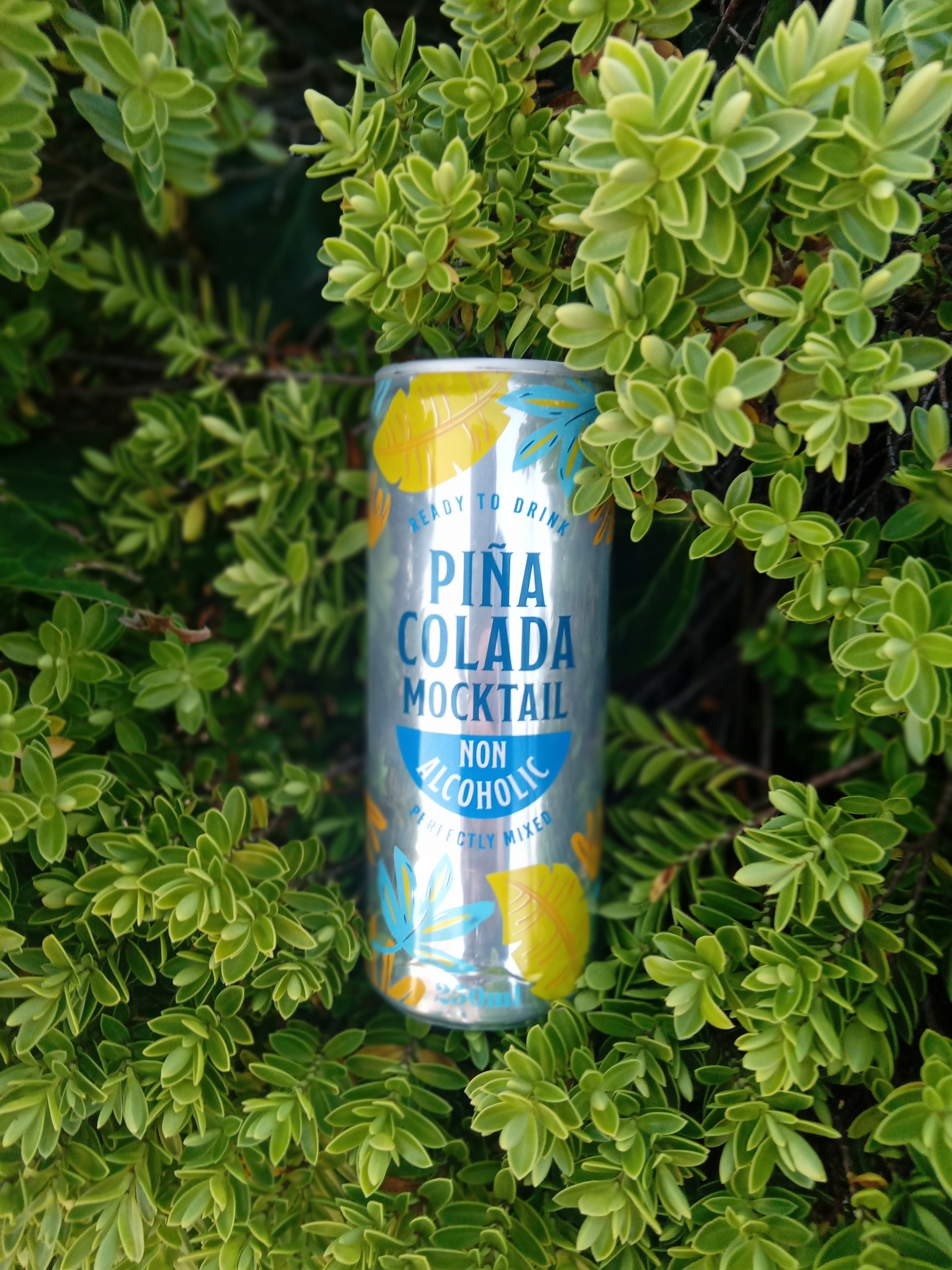 Sainsburys Pina Colada