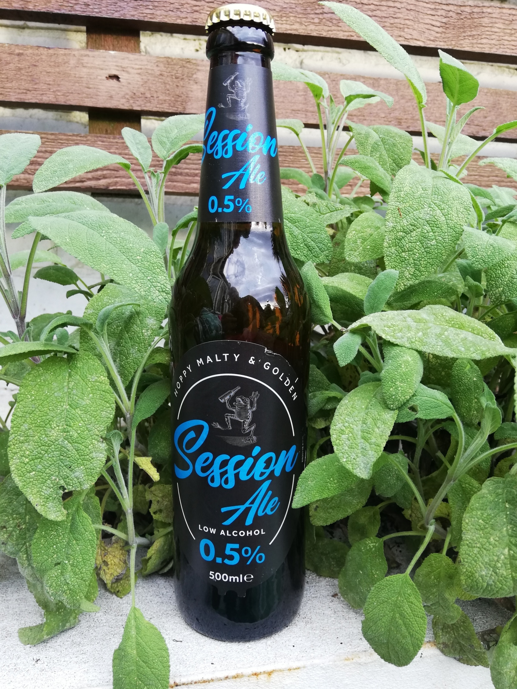 Sainsburys Session Ale