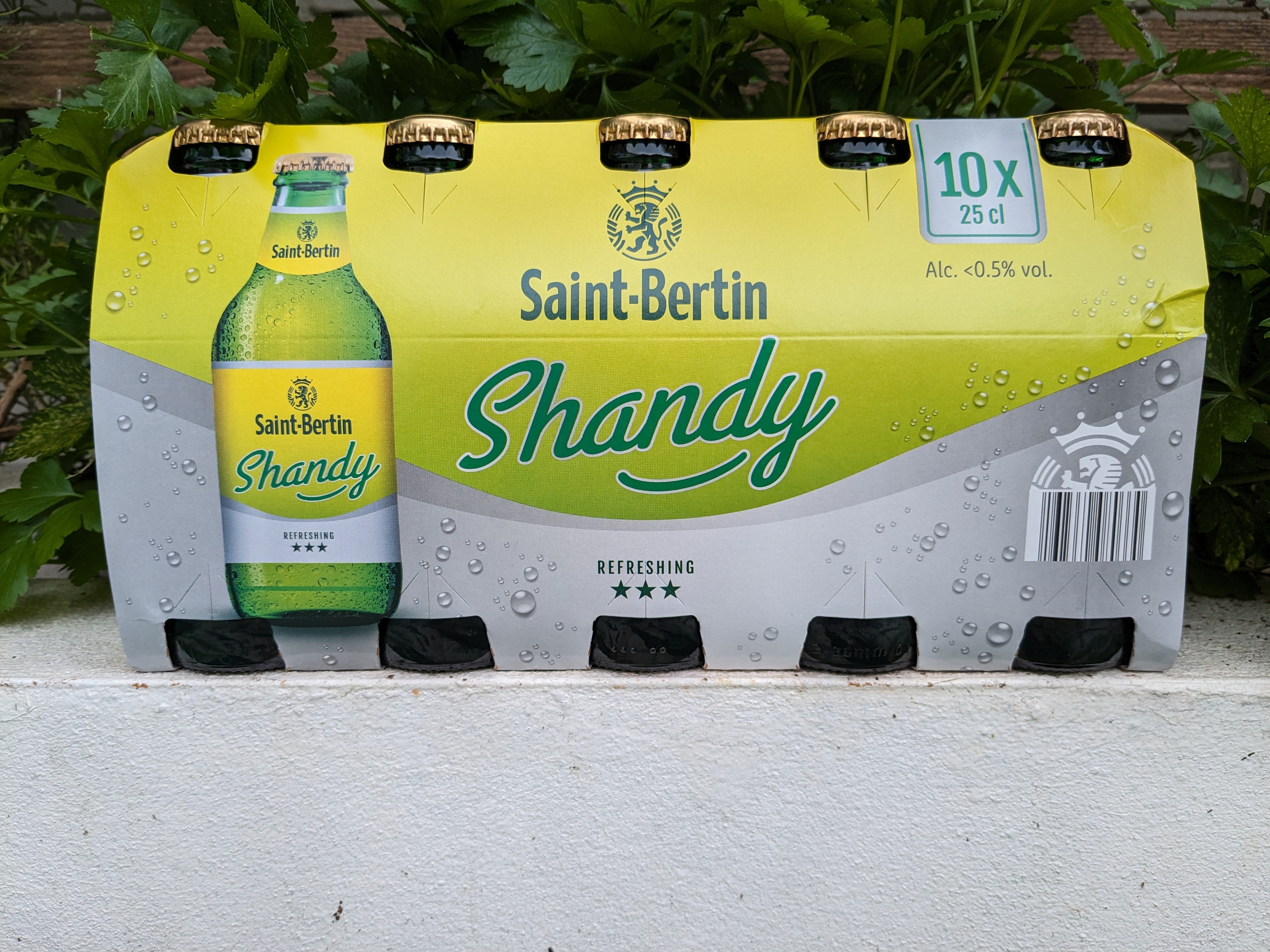 Saint Bertin Shandy