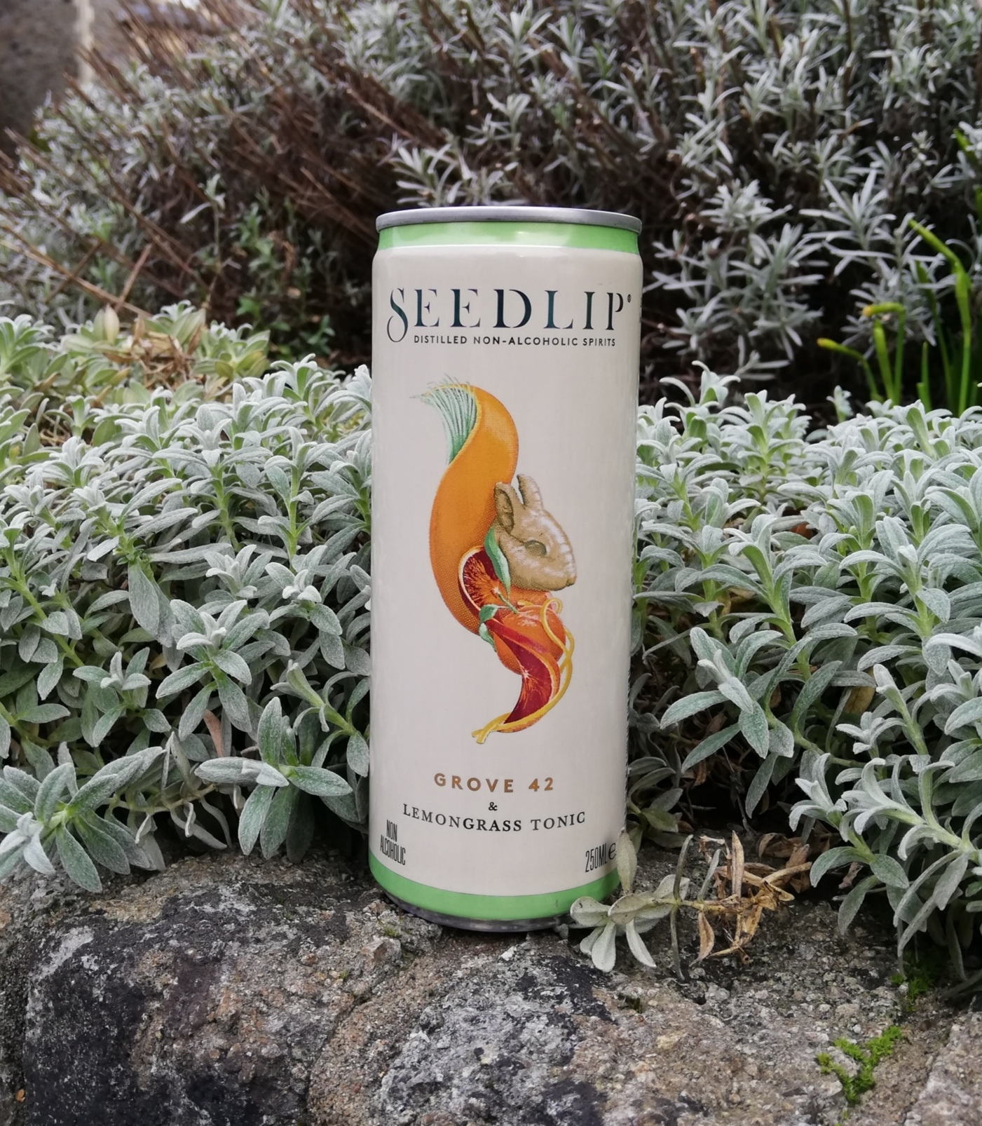 Seedlip 42 mixed can 1