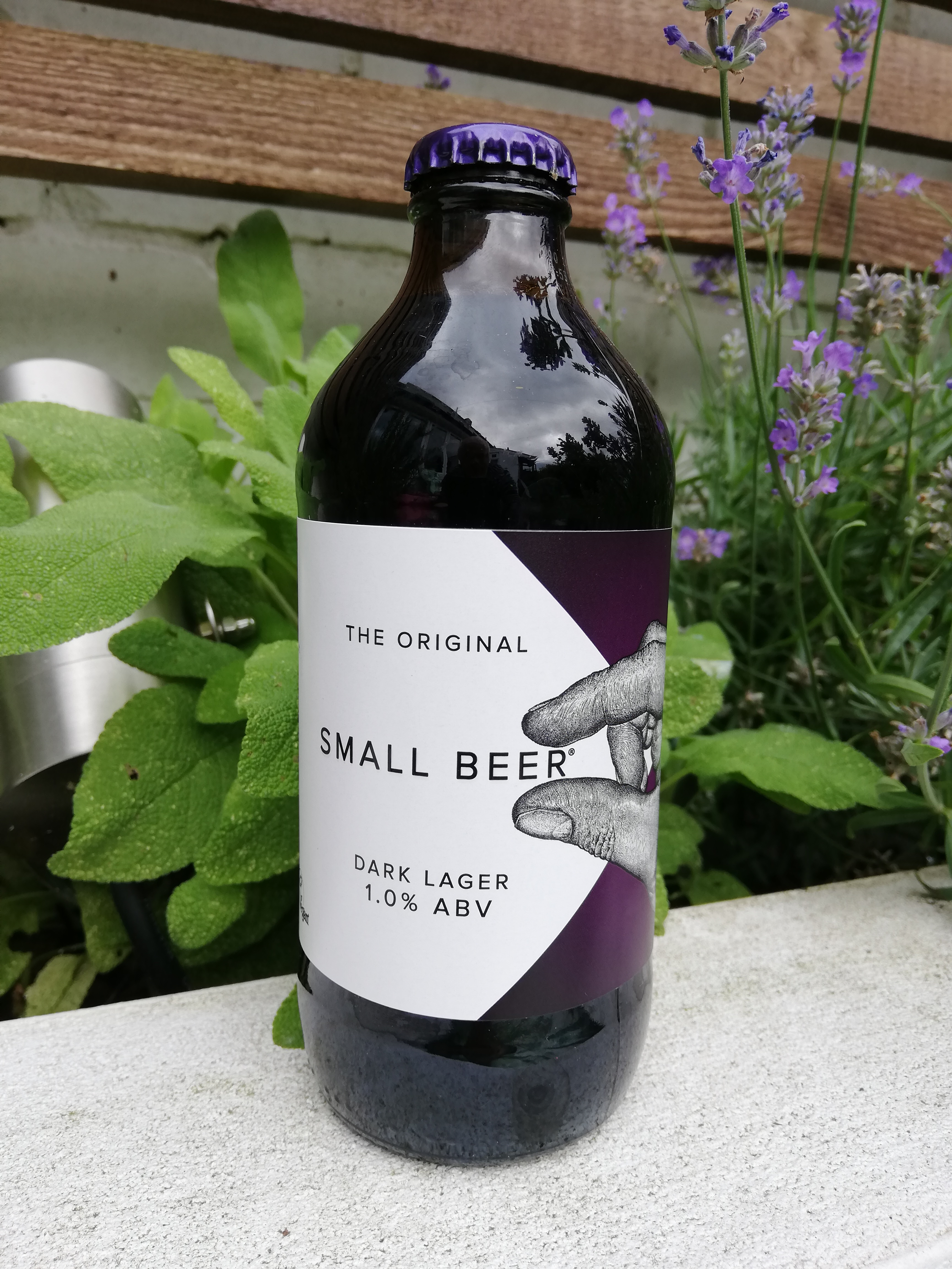Small Beer Dark Lager
