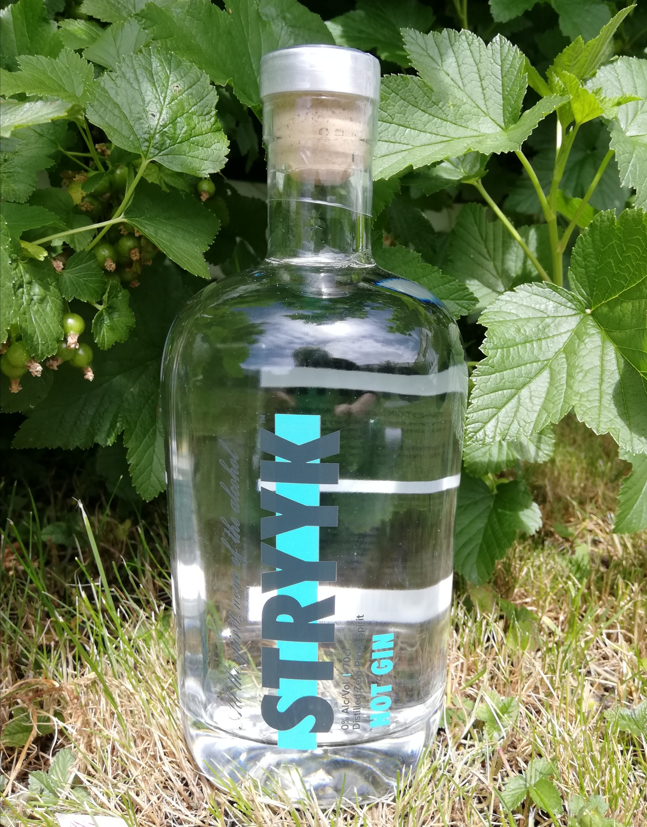 Stryyk Not Gin