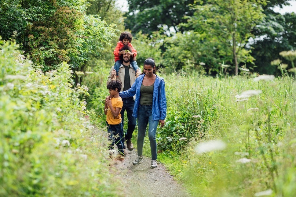 Summer walk family