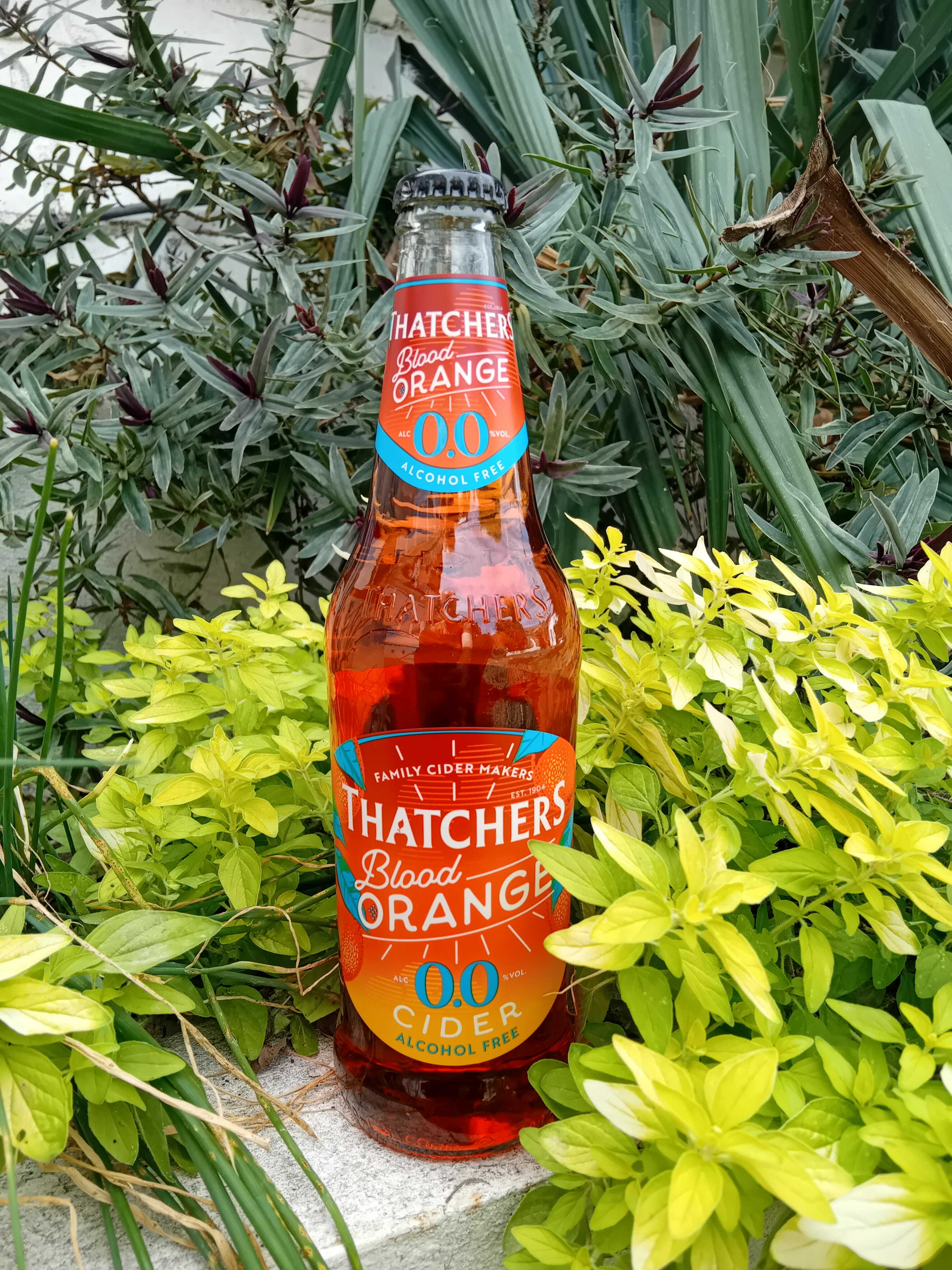 Thatchers Blood Orange